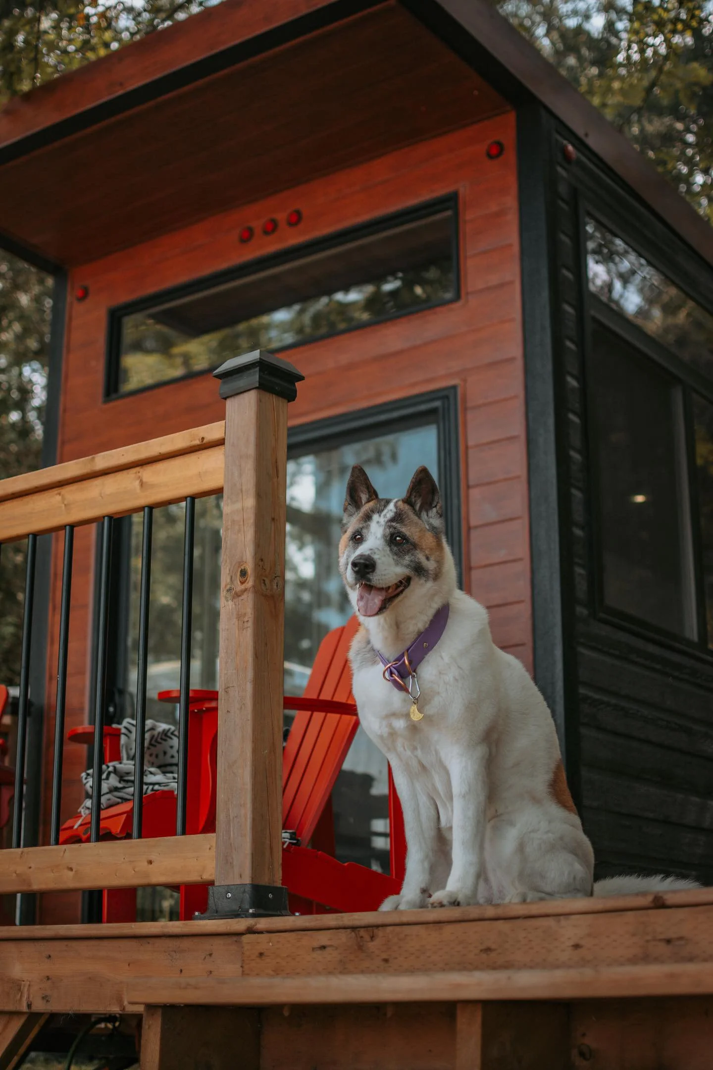 47689F23-B543-4256-8769-510BE1ECA13B (1).JPG