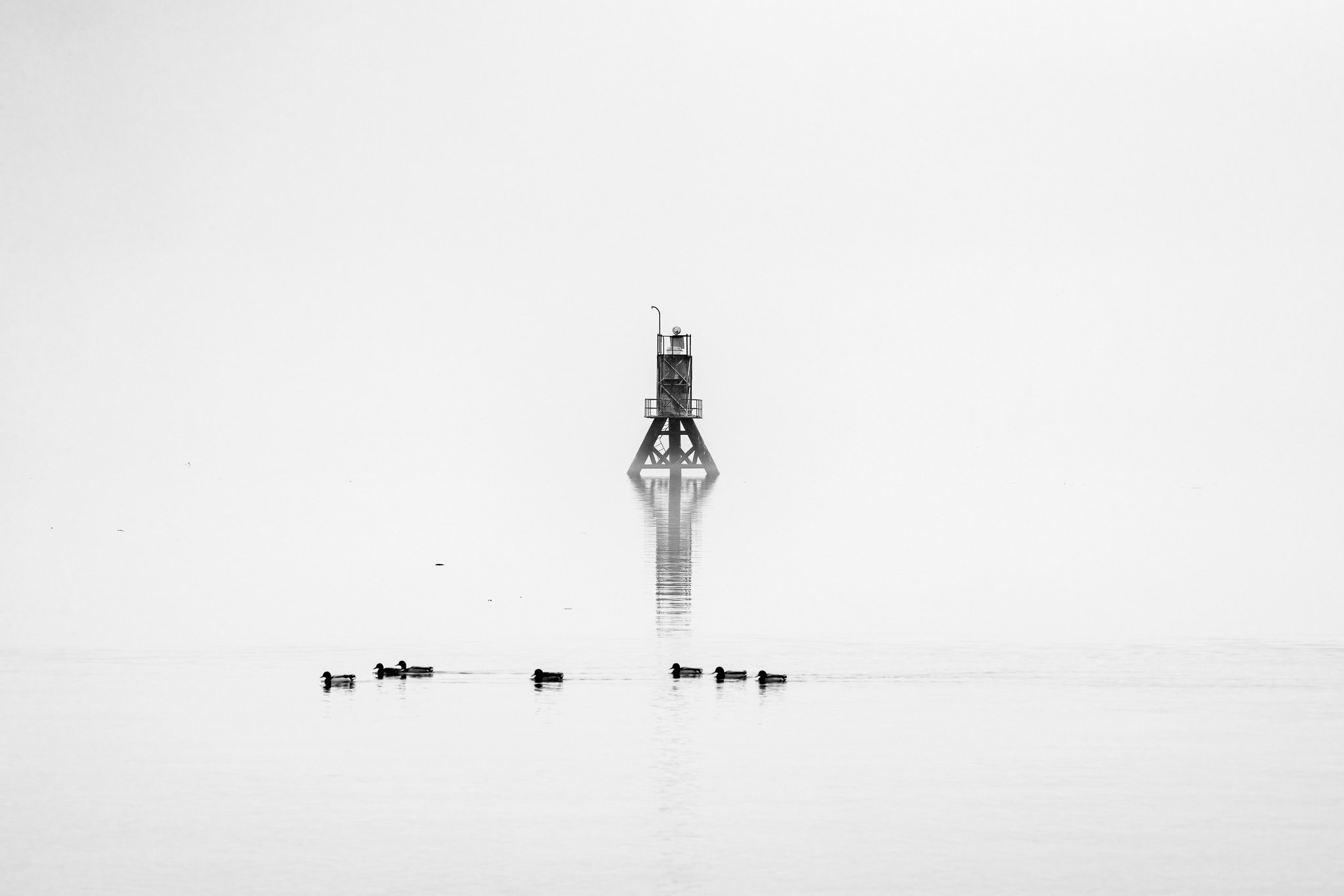 2021-02-27-132732.jpg