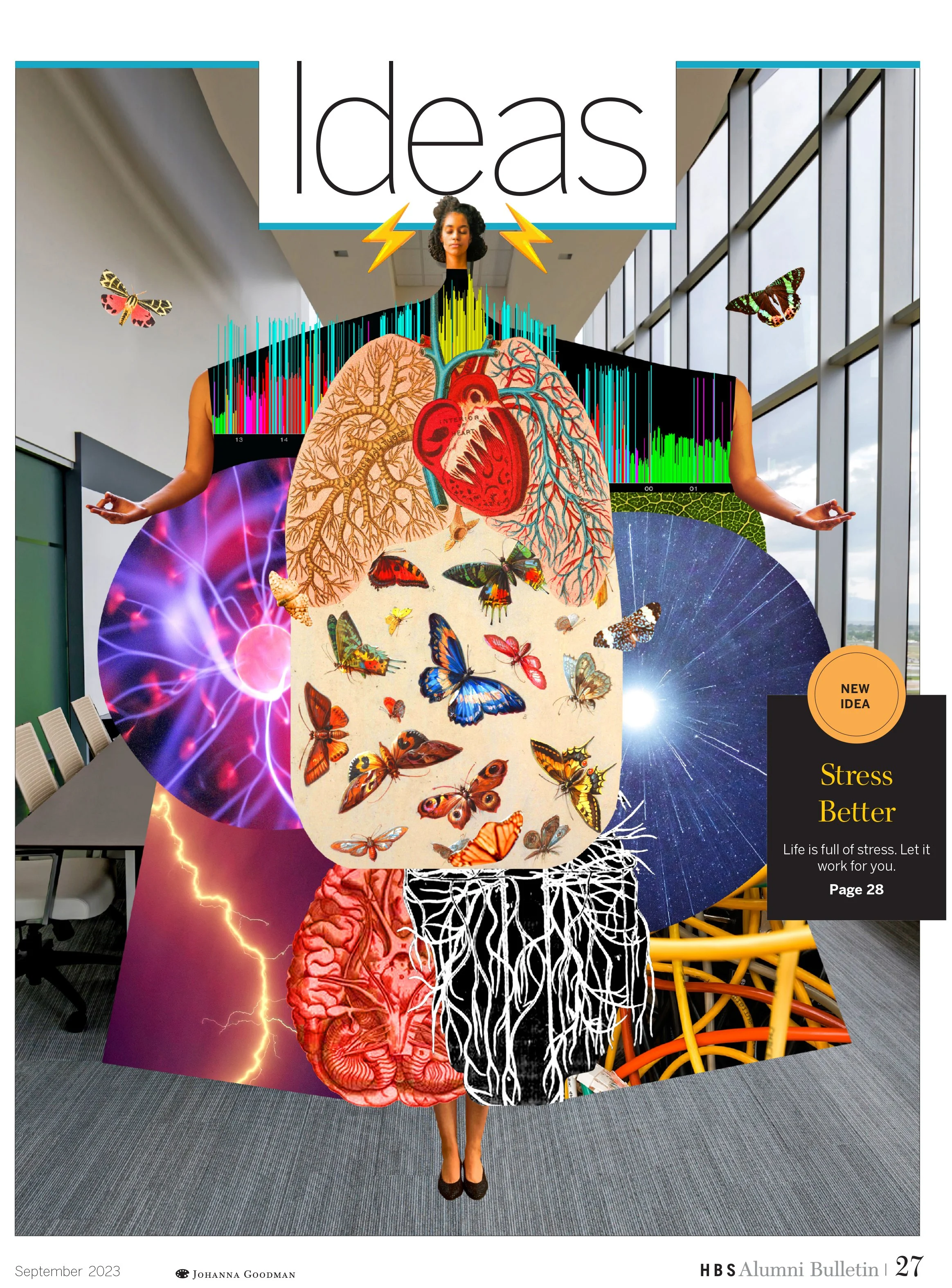 Harvard Business School Alumni Bulletin: Stress can be good for you!