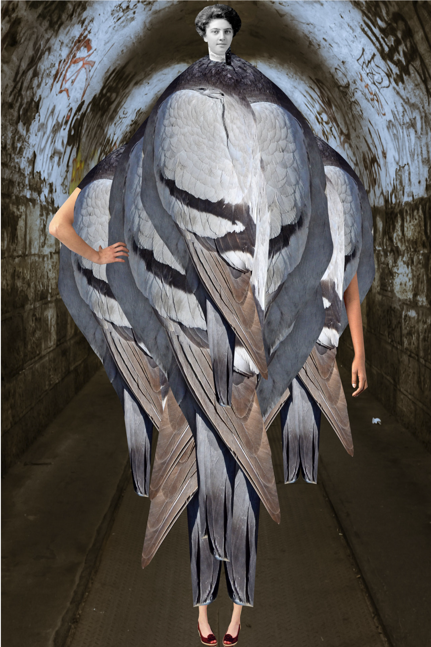 ANIMAL