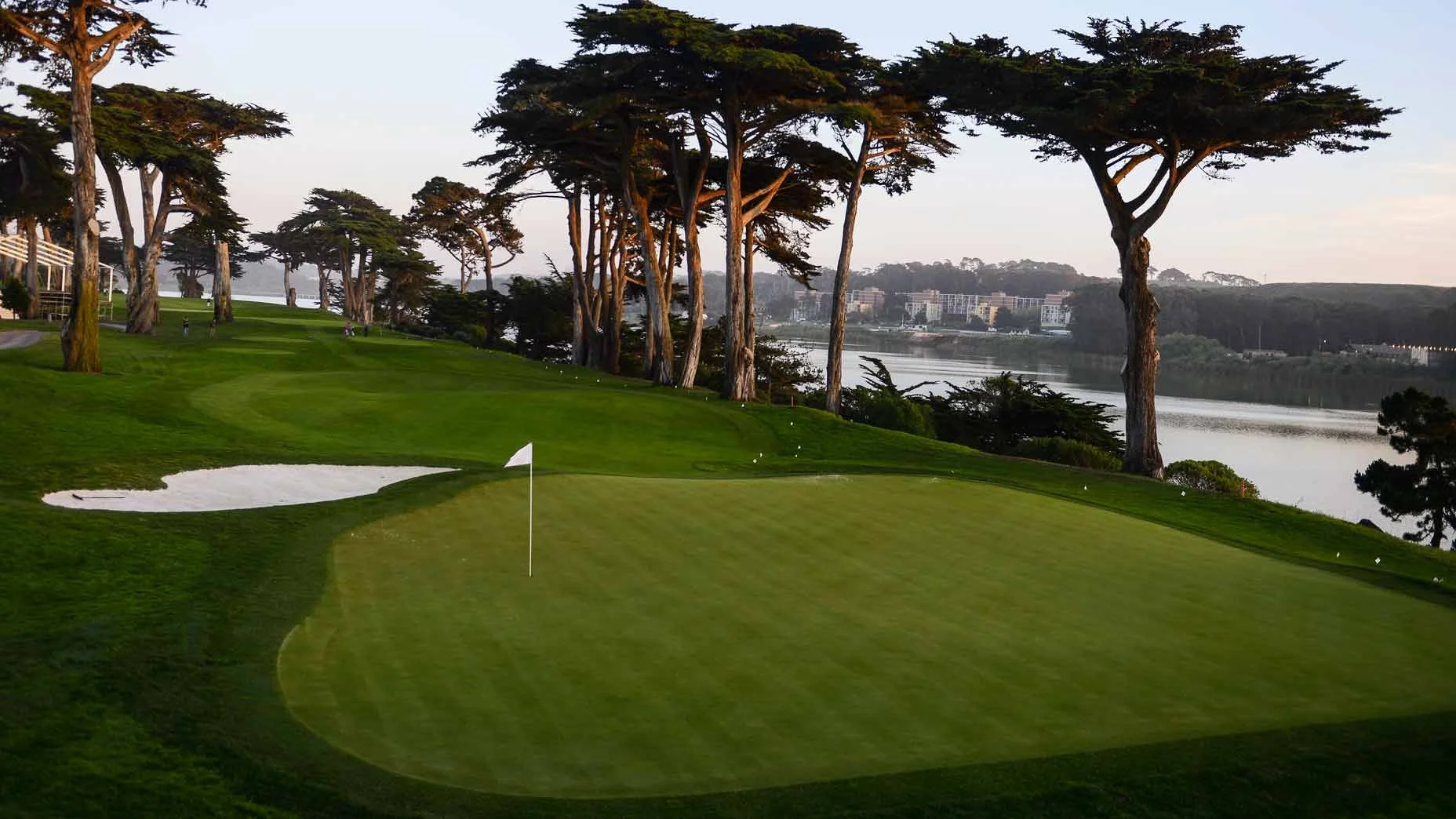 TPC-Harding-Park.jpg