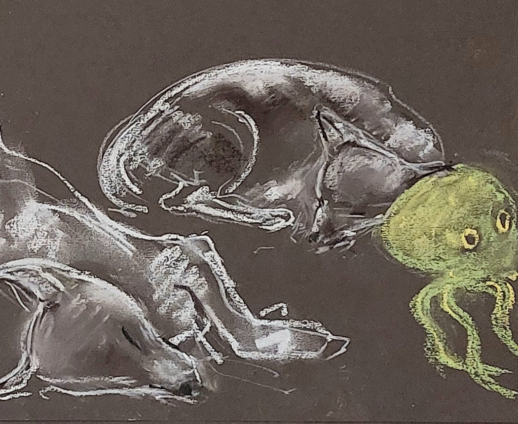 Wolf Dog Puppies and Toy