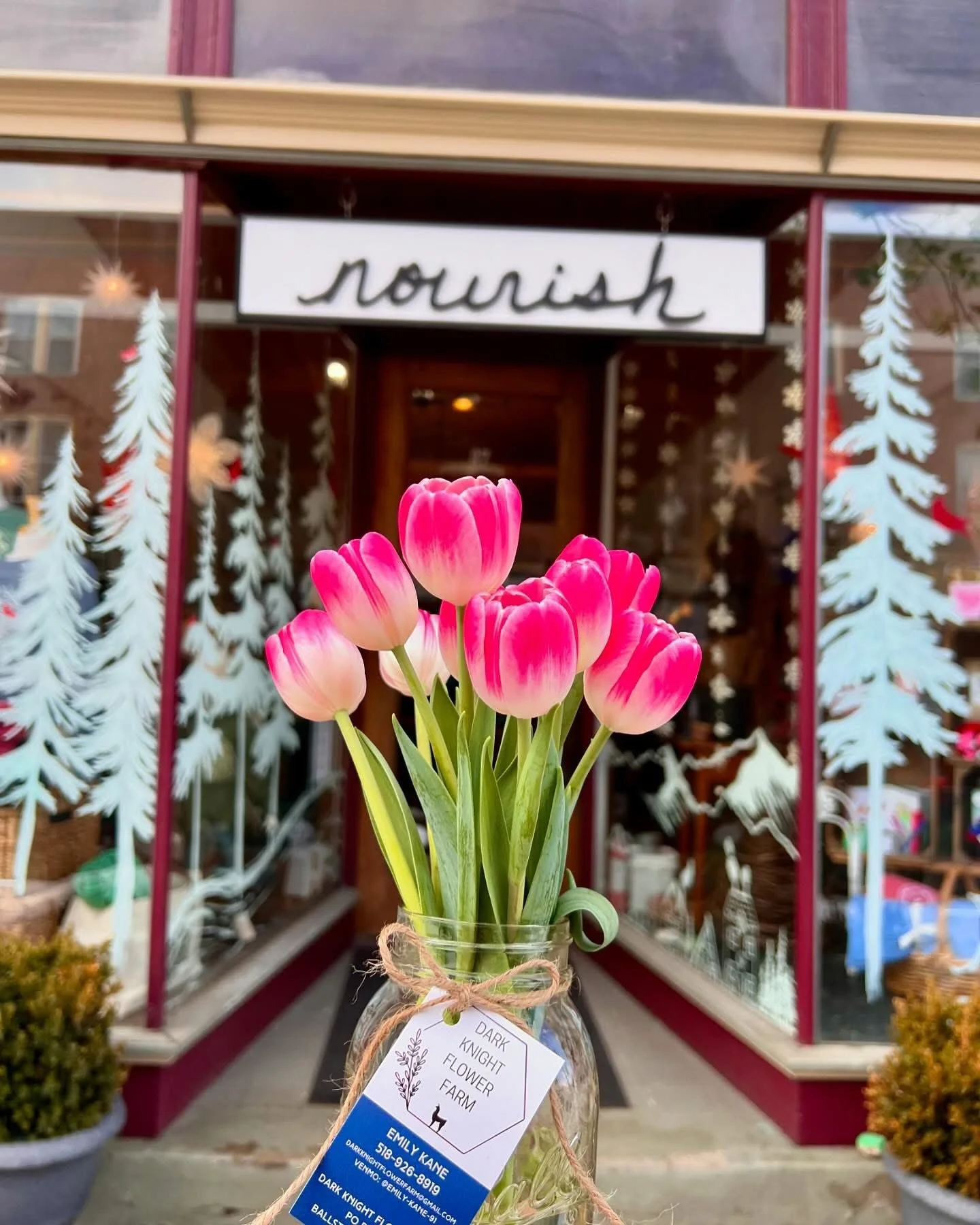 588638567_10162783733436902_6722875418905404781_n.jpg (Copy)