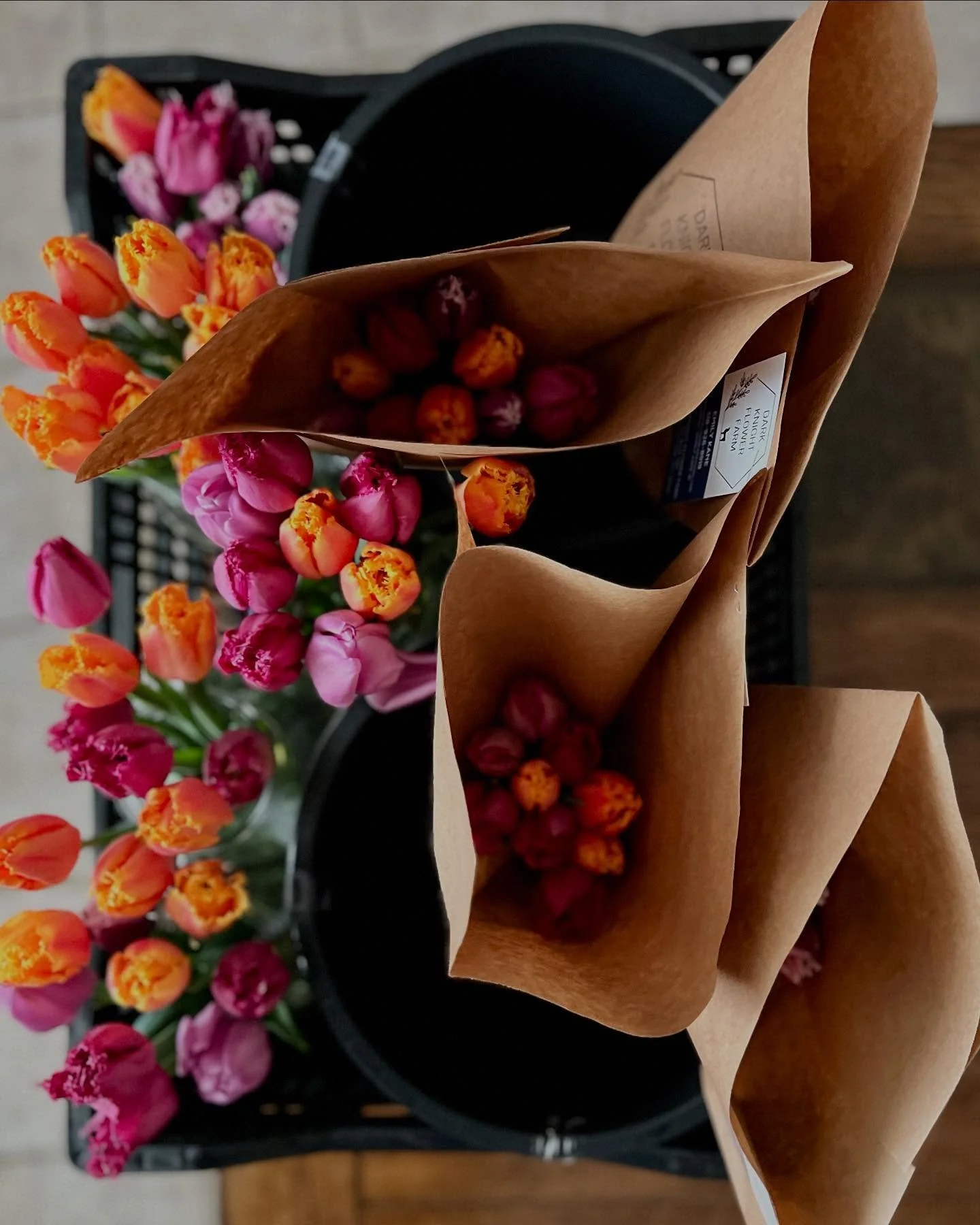 489926956_18064835231298834_1023020277442666946_n.jpg (Copy)