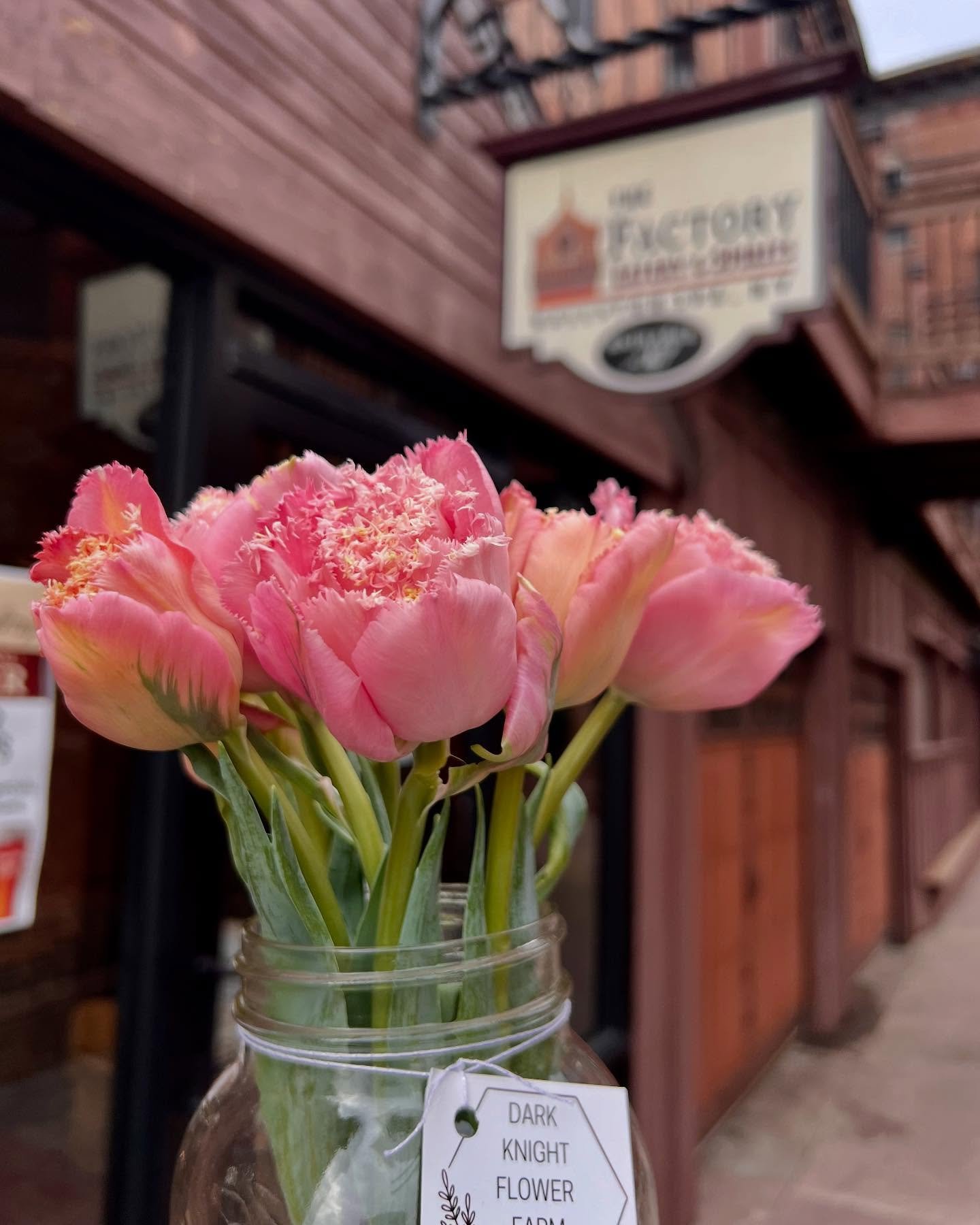 485652620_18062497322298834_7323766329683652297_n.jpg (Copy)