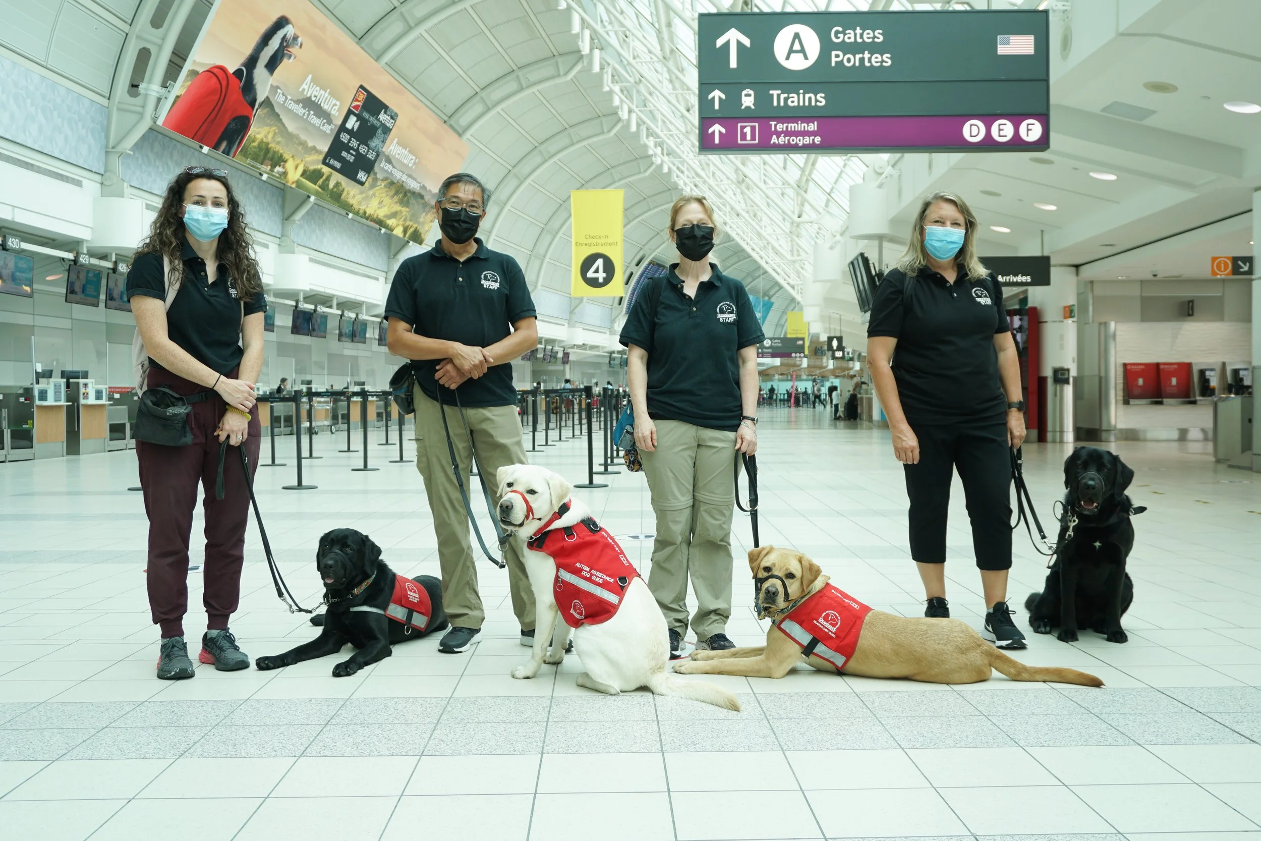 I Am Toronto Pearson