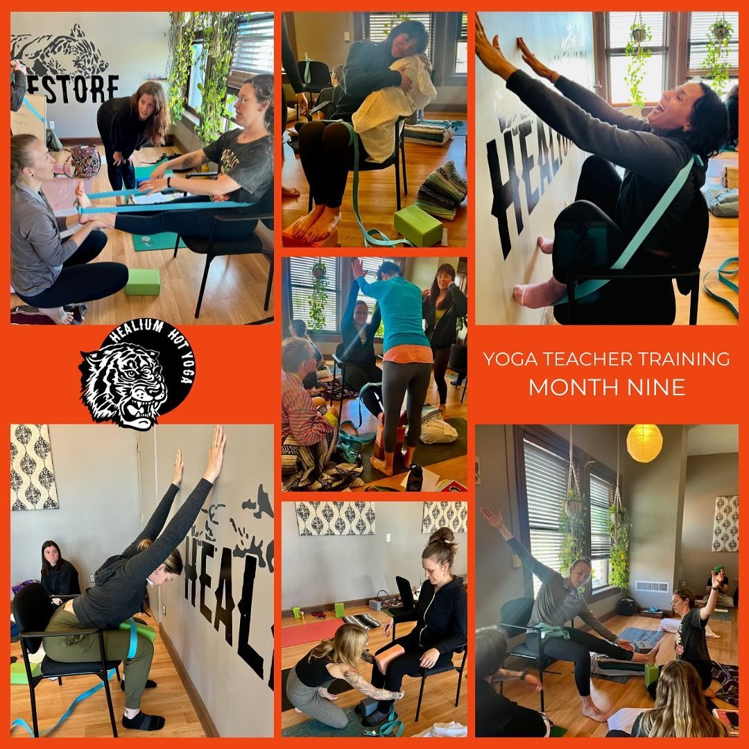 YTT May Weekend!

Healium&rsquo;s Yoga Teacher trainees just completed their 9th month of training - the next stop is June&rsquo;s finals and graduation! This month they spent an evening with Robyn learning about heated yoga along with some good, swe
