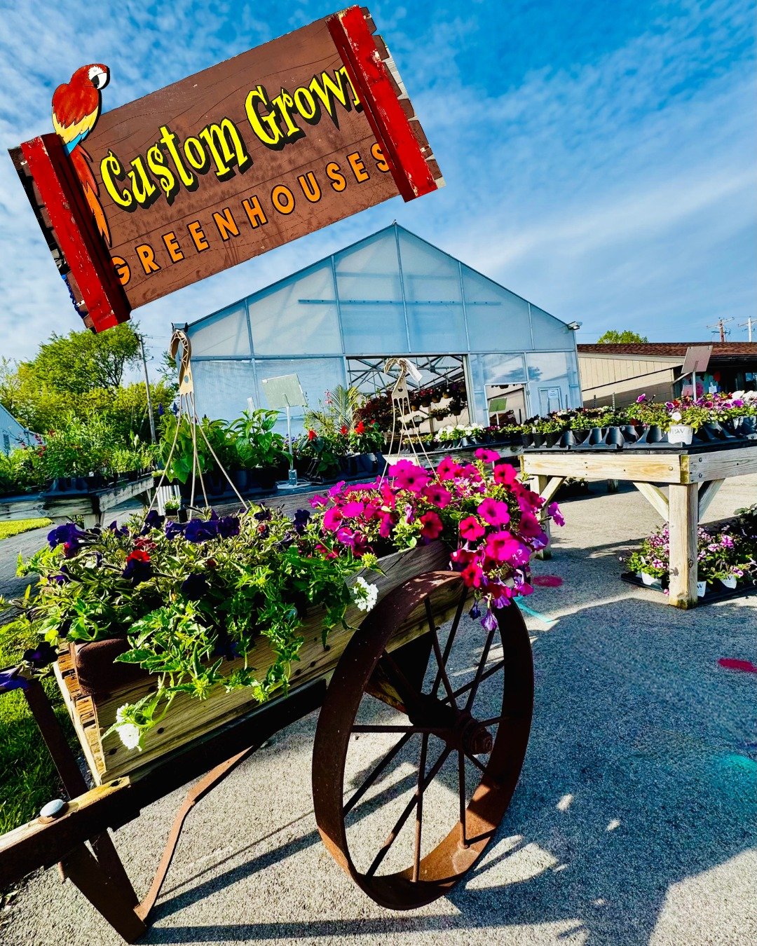 🪴Custom Grown Greenhouse🪴

Since the weather is *finally* getting nicer, it&rsquo;s a great time to feature Custom Grown Greenhouse! Local family owned and operated, CGG moved their greenhouse operations next to Layton Fruit Market last year. They 