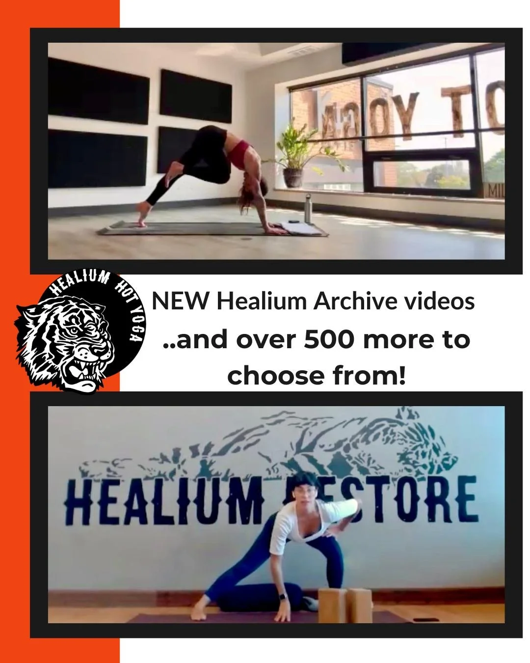 📹NEW Healium Archive videos📹

We&rsquo;ve just added new videos to Healium&rsquo;s Online Archive - 500+ videos and counting!

Join Robyn for a 45 minute high energy power yoga session and a practice that focuses on grounding for Fall with Heather!