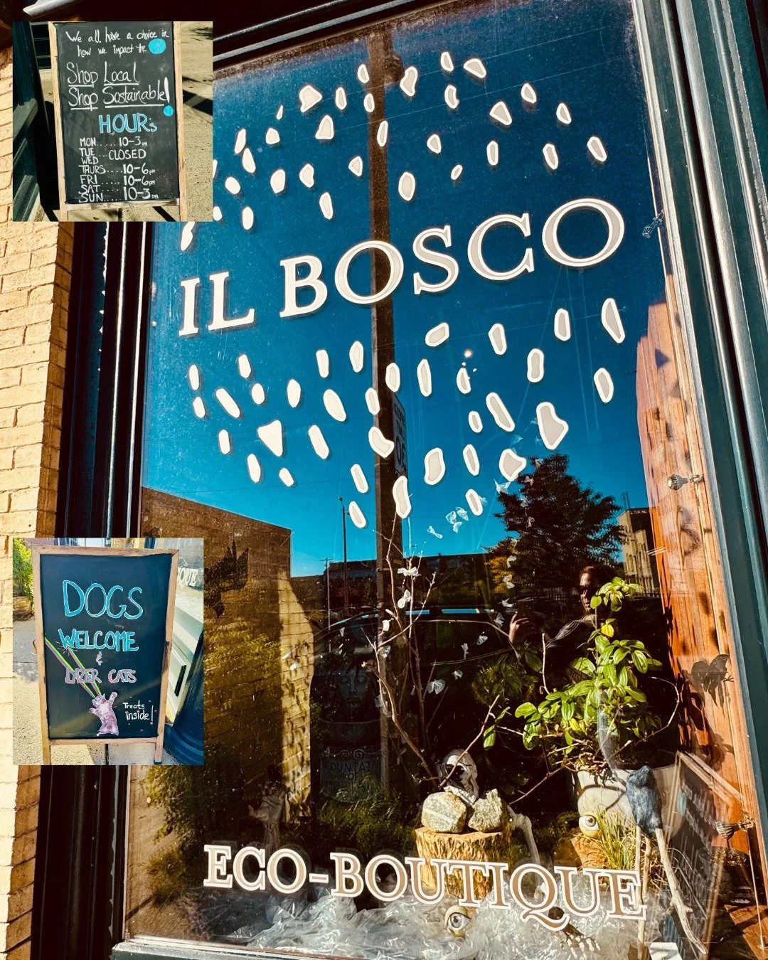 Il Bosco 

This week we&rsquo;re featuring Il Bosco! Located on Second Street in Walkers Point, Il Bosco sells natural one-of-a-kind luxury items that are artisan-crafted from sustainable ingredients and materials. When you enter (maybe with your pet