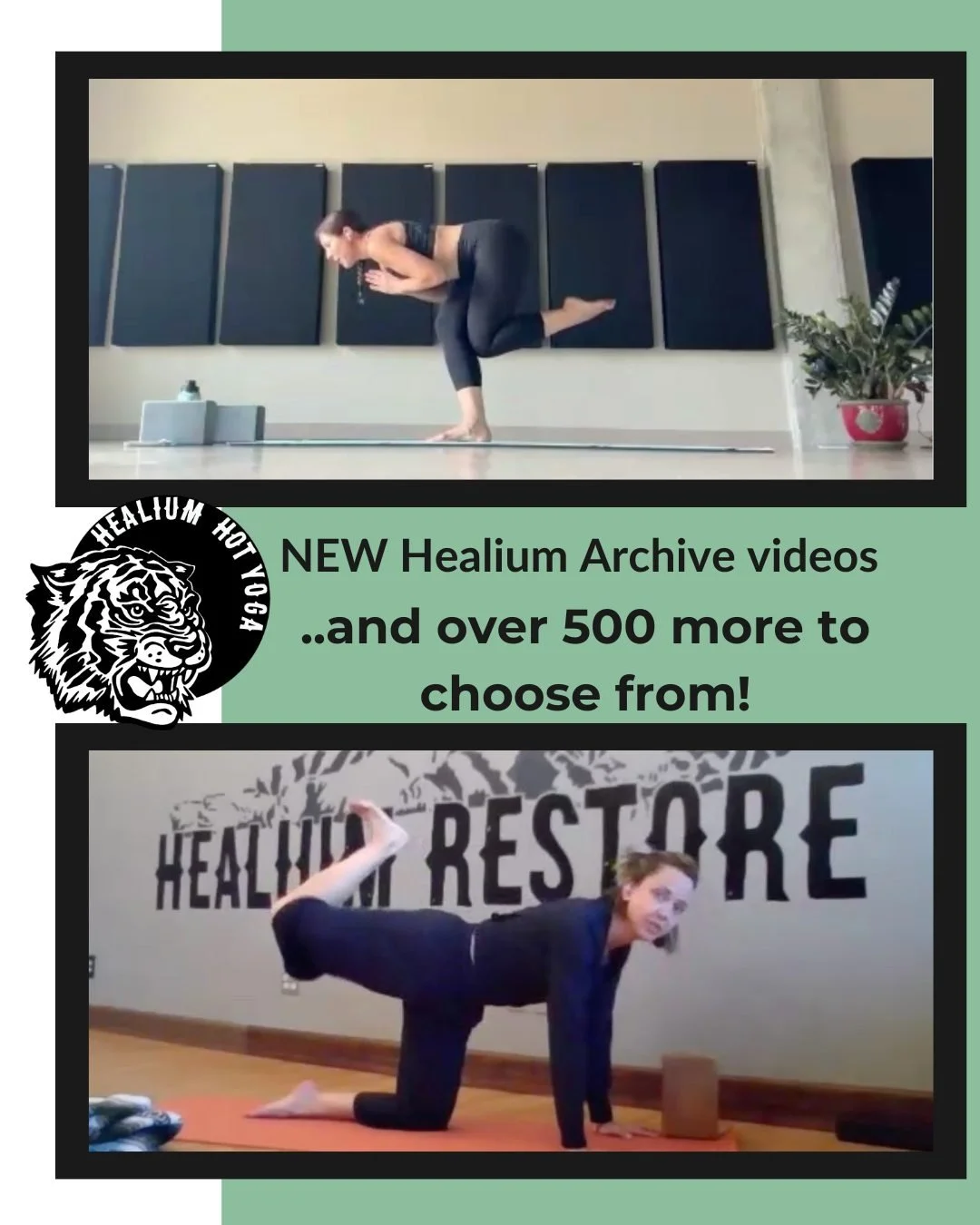 📹NEW Healium Archive videos📹

We&rsquo;ve just added new videos to Healium&rsquo;s Online Archive - 500+ videos and counting!

Join Amii for a 50 minute Vinyasa Flow that focuses on balance and Senta for a 35 minute Slow Flow!

Get unlimited access