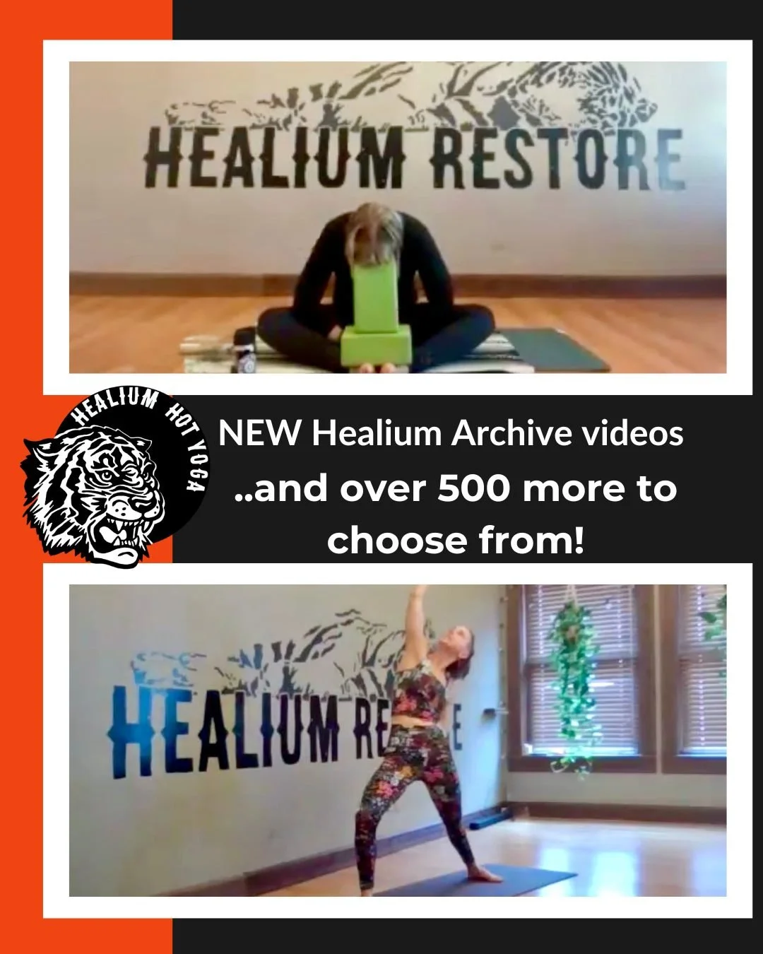 📹NEW Healium Archive videos📹

We&rsquo;ve just added new videos to Healium&rsquo;s Online Archive - 500+ videos and counting!

Join Becky for a 50 minute Yin Yoga practice and Senta for a 40 minute spirited Vinyasa flow that focuses on hips and hea