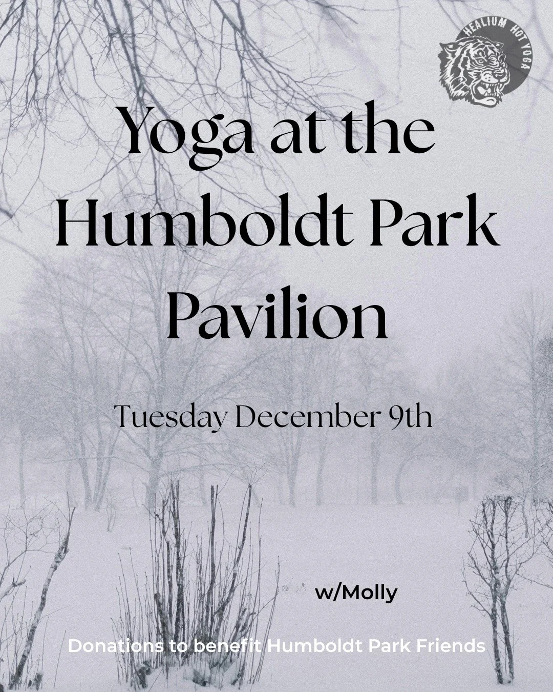 Yoga at the Humboldt Park Pavilion

Join Molly on Tuesday December 9th from 5:00-6:00 pm in the Humboldt Park Pavilion for a non-heated, one hour vinyasa flow that will work your whole body. All levels are welcome to participate! 

Bring your own mat