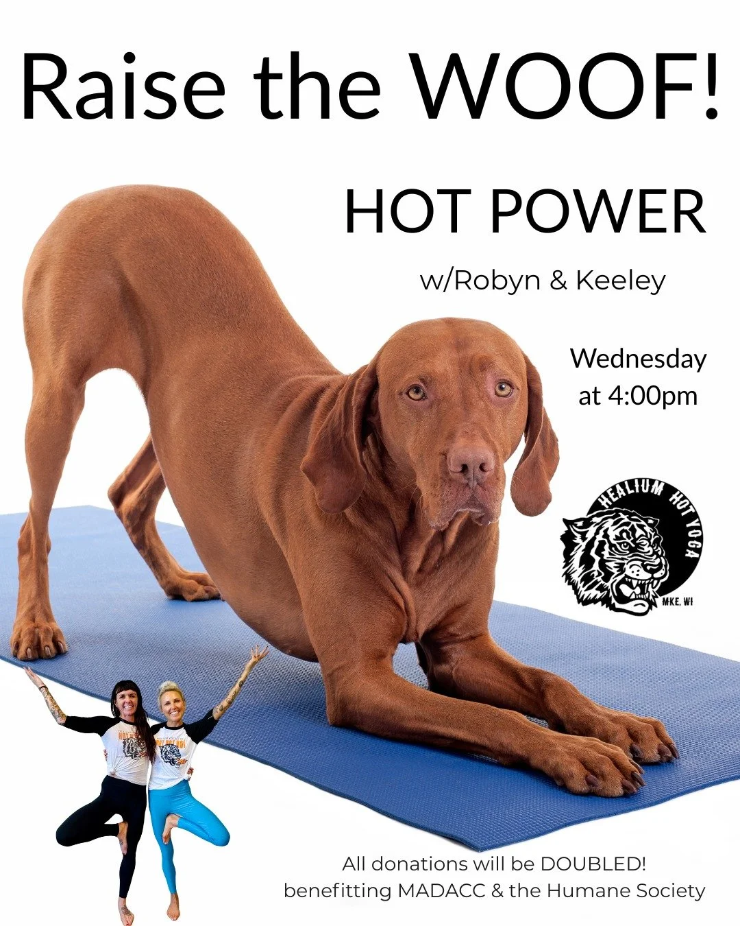 Keeley and Robyn Raise the WOOF!

Healium&rsquo;s Power Pair comin&rsquo; in HOTTx2!! 

Wednesday December 10th, 4:00-5:00pm at Healium Hot Yoga-Bay View

Join Keeley and Robyn as they tag team 60 minutes of all the sweaty stuff you love to hate in t