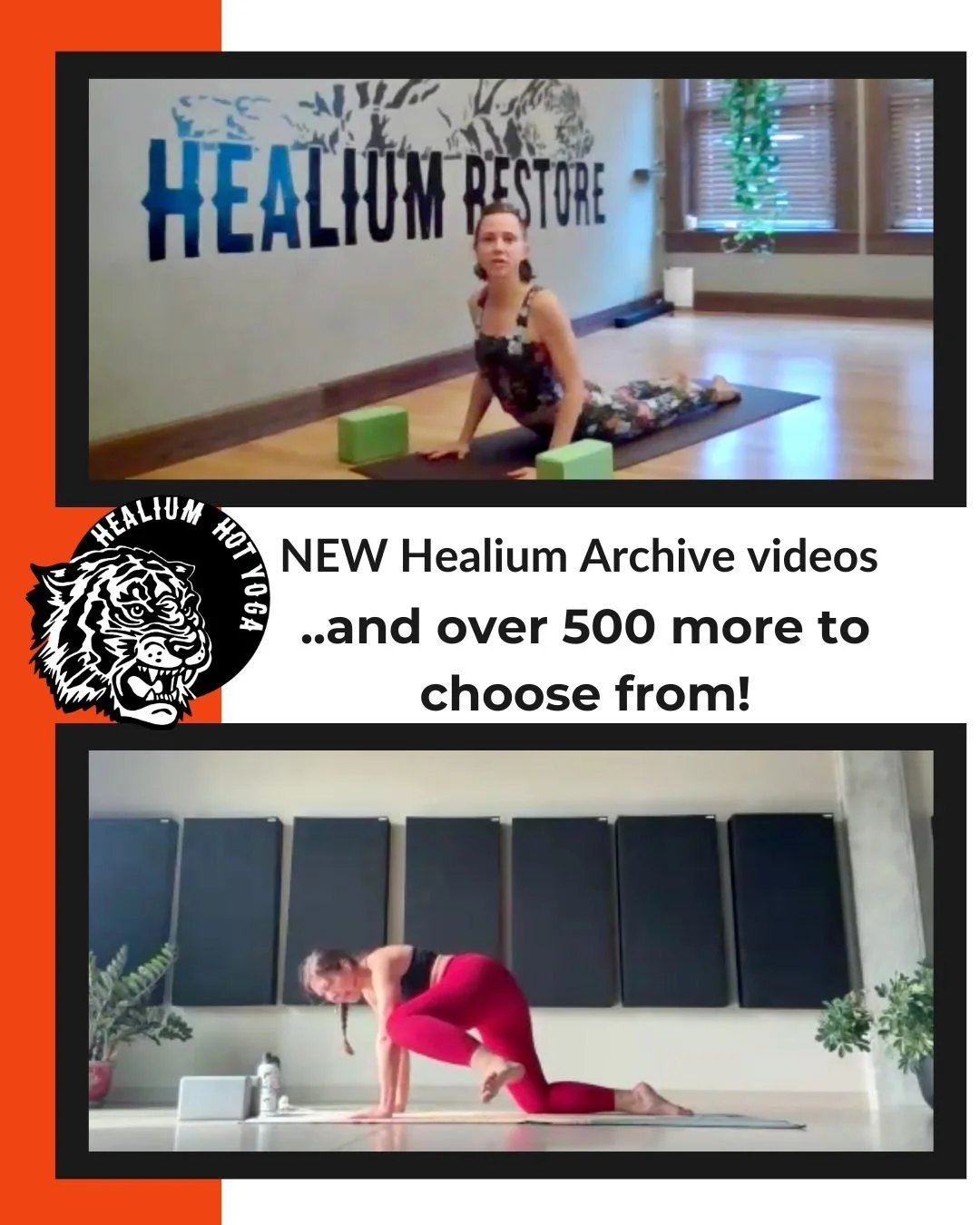 📹NEW Healium Archive videos📹

We&rsquo;ve just added new videos to Healium&rsquo;s Online Archive - 500+ videos and counting!

Senta for a Slow Flow + Loving Kindness meditation and Amii for a Hip Focused Vinyasa Flow! 

Get unlimited access with a