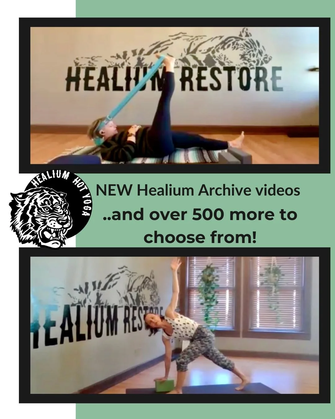 📹NEW Healium Archive videos📹

We&rsquo;ve just added new videos to Healium&rsquo;s Online Archive - 500+ videos and counting!

Join Becky for a 50 minute Yin Yoga practice that focuses on the neck and Senta for a 45 minute Vinyasa flow with lots of