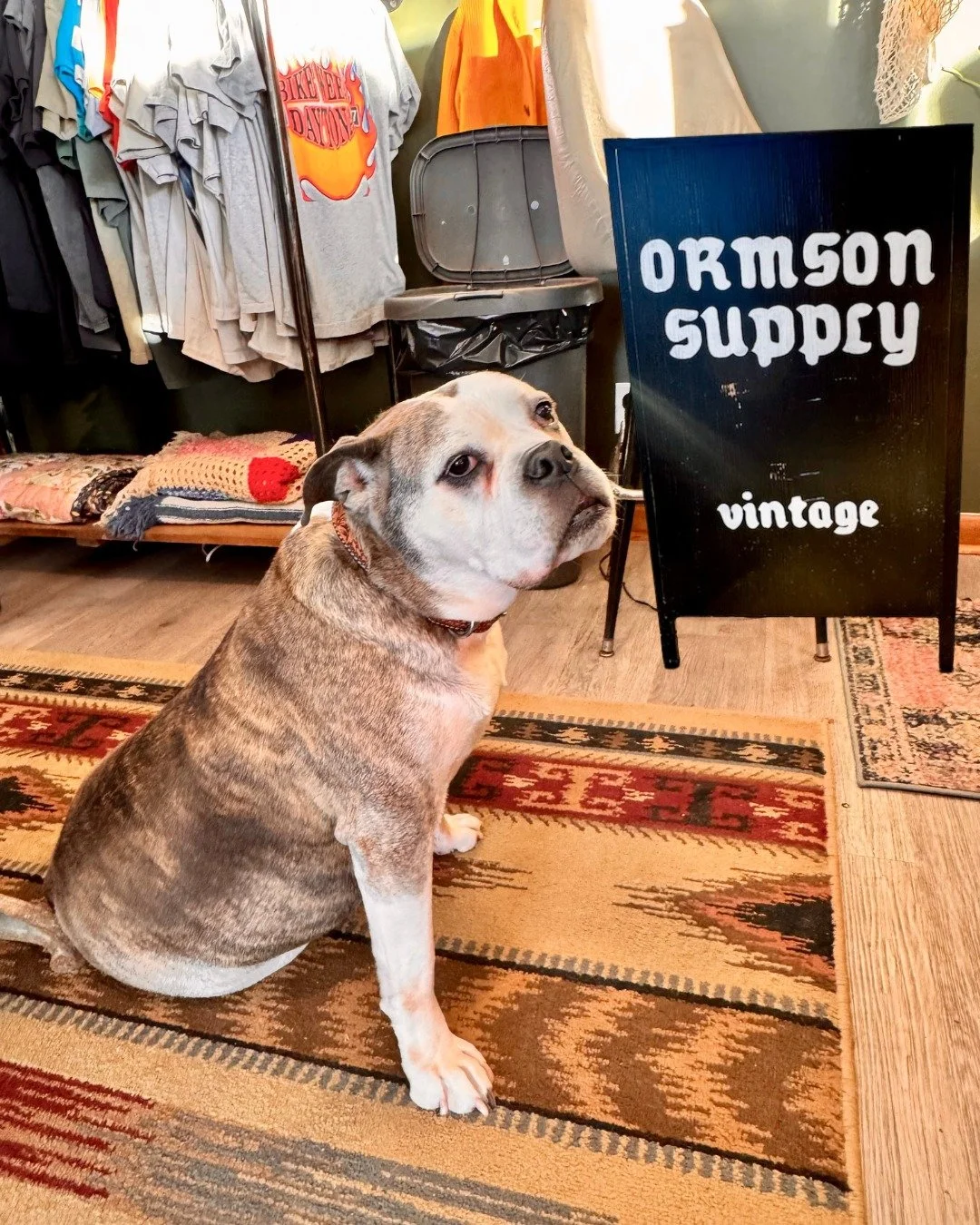 Ormson Supply

Healium is happy to feature Ormson Supply, our neighbors directly across the street from Healium HIIT on KK Ave in Bay View since 2020! Ormson Supply is a fantastically curated vintage shop specializing in furniture, Americana curiosit