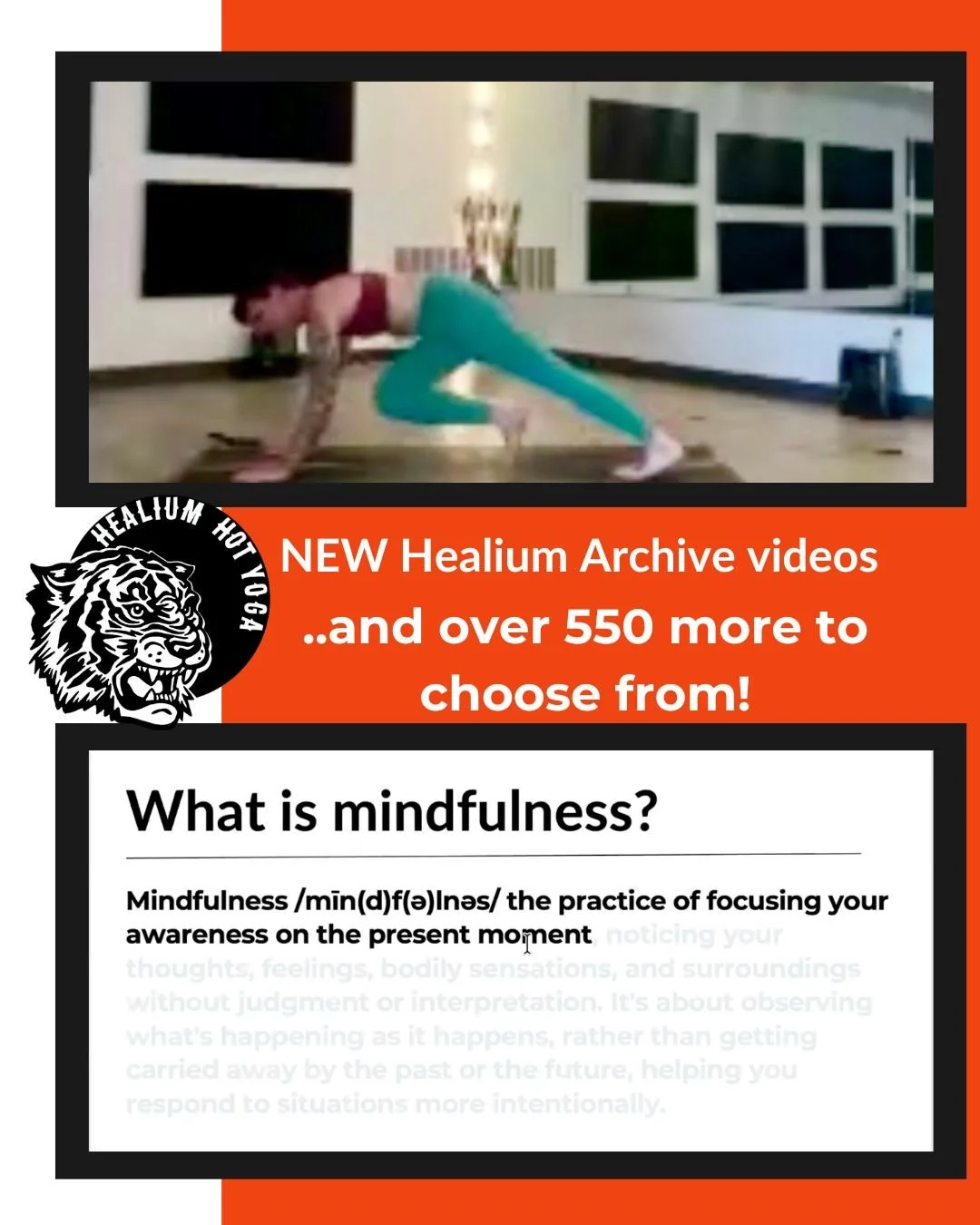 📹NEW Healium Archive videos📹

We&rsquo;ve just added new videos to Healium&rsquo;s Online Archive - 550+ videos and counting!

Join Robyn for a 45 minute Power Yoga session and Bethany for a one hour class on Mindfulness, part one of a four part se