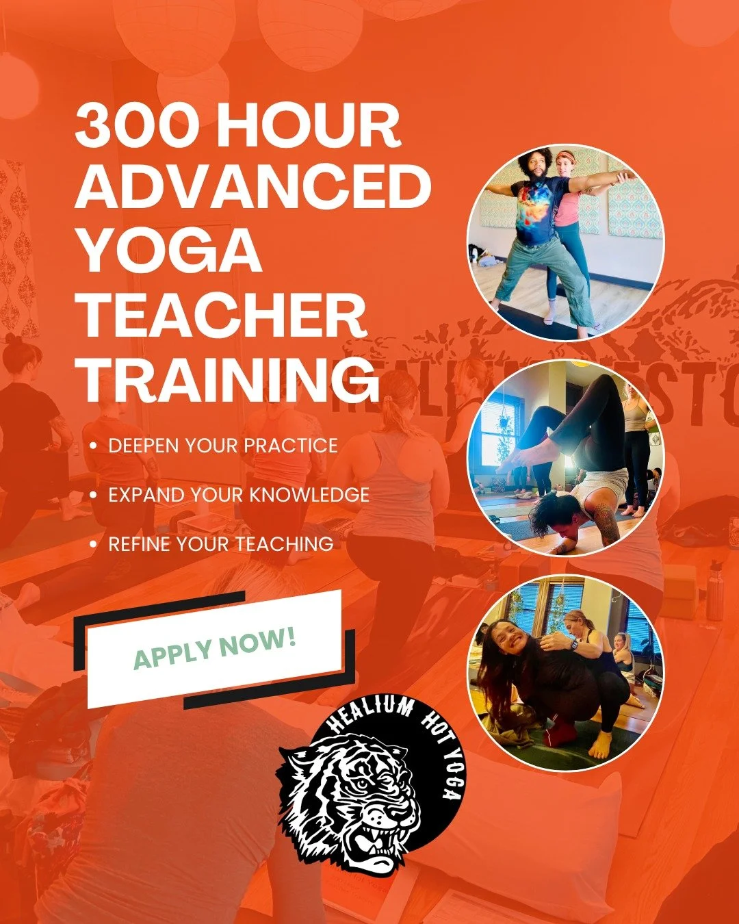 🔥 300-HOUR ADVANCED TEACHER TRAINING 🔥

Deepen your practice. Expand your teaching. Step into your next level.

Ready to go further? The 300-Hour Advanced Teacher Training at Healium Hot Yoga is a transformative, in-depth experience for passionate 