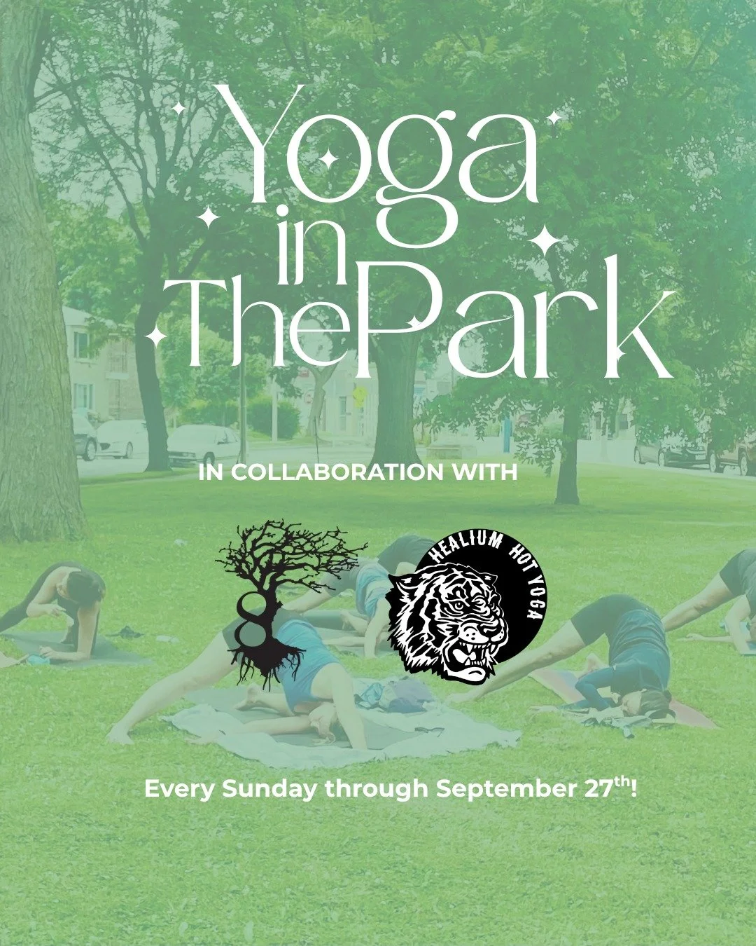Join us for FREE Yoga in the Park every Sunday through September 27th in collaboration with 8 Branches! 

See you in the park 🍃

 #healiumeverywhere #BestofMilwaukee2025 #YogaCommunity #healiumhotyoga