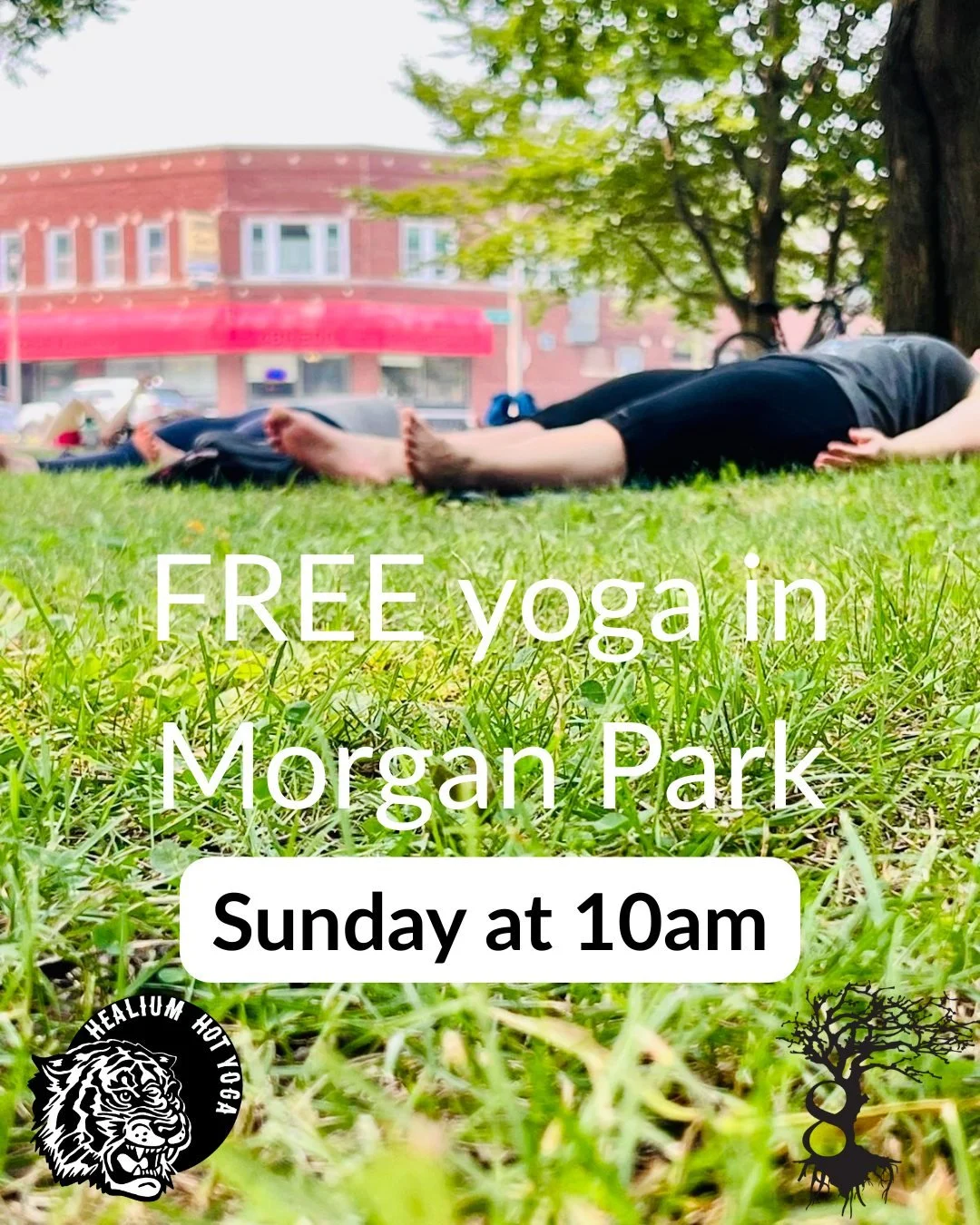 Free Yoga in Morgan Park
Sunday mornings 
 
Join Healium in partnership with 8 Branches Chinese Medicine and Milwaukee County Parks for FREE yoga in Morgan Park! Sunday at 10:00am - bring your own mat and water bottle and practice in the beautiful ou