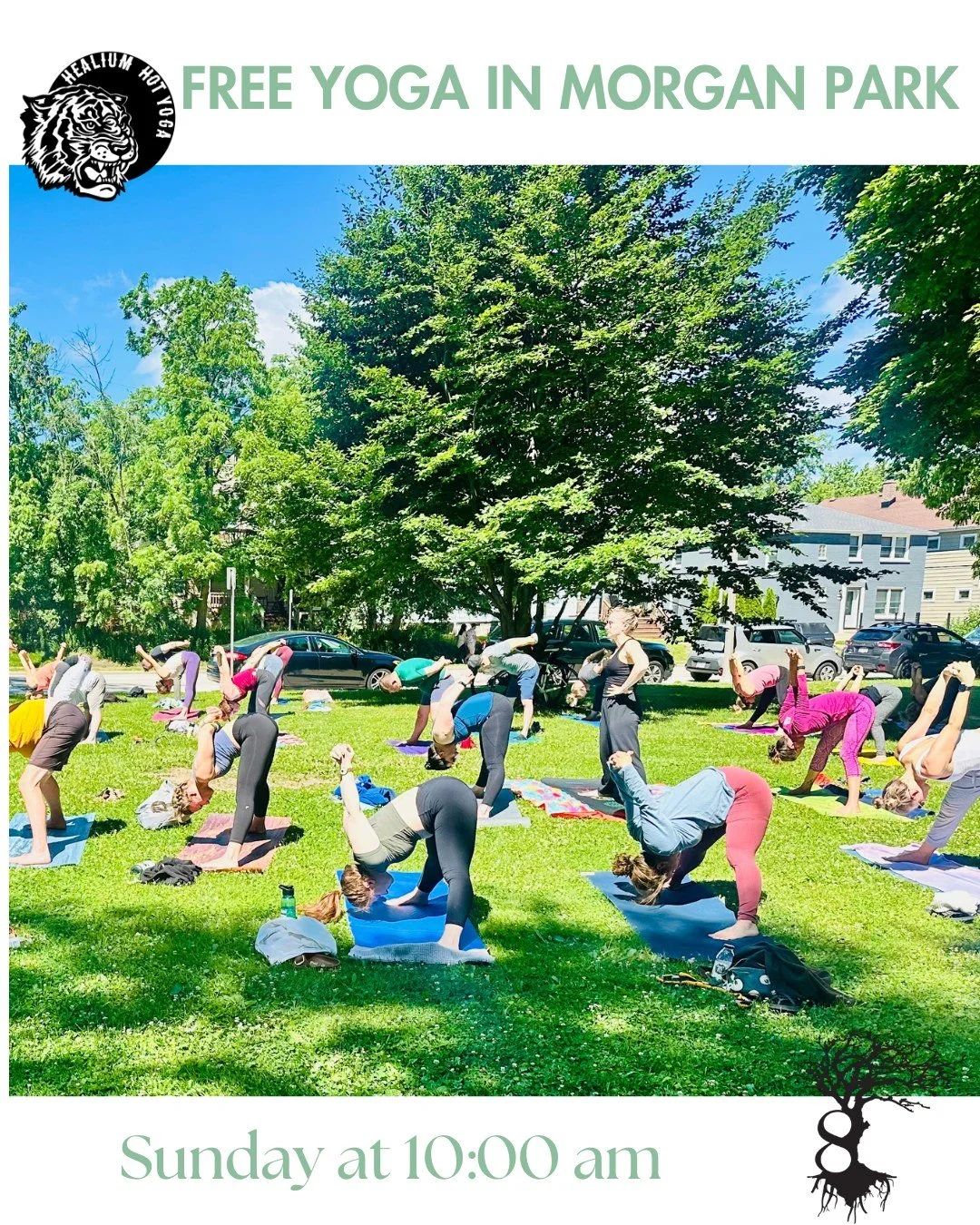 Free Yoga in Morgan Park
Sunday mornings 
 
Join Healium in partnership with 8 Branches Chinese Medicine and Milwaukee County Parks for FREE yoga in Morgan Park! Sunday at 10:00am - bring your own mat and water bottle and practice in the beautiful ou