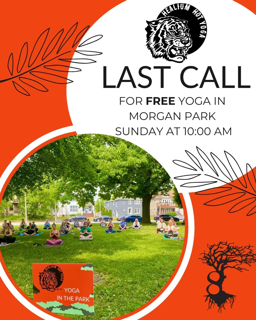 Free Yoga in Morgan Park
Last one of 2026!

Join Healium in partnership with 8 Branches Chinese Medicine and Milwaukee County Parks for FREE yoga in Morgan Park! Sunday at 10:00am - bring your own mat and water bottle and practice in the beautiful ou