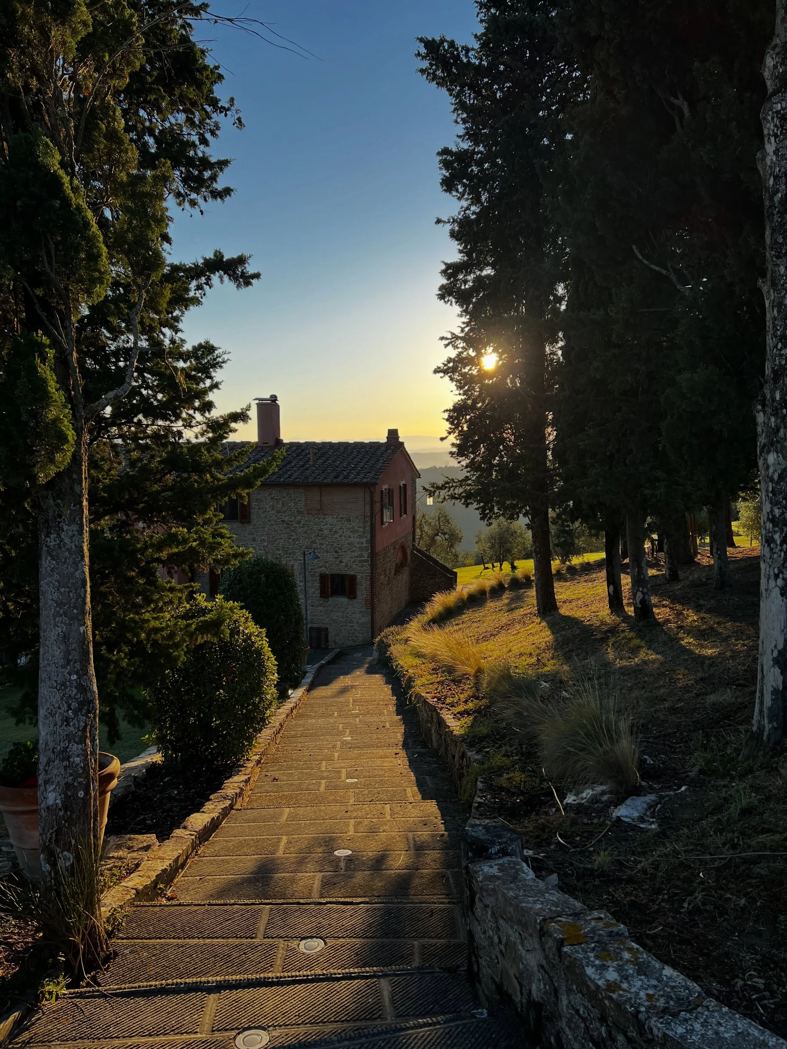 Day three of Tuscany adventure! Yogis and HIIT pals continue the hiking and got to try to cultural experiences today: learning the art and science of olive oil and wine! Extra points for the HIIT hammer curls with wine glasses 💪🍷🤩