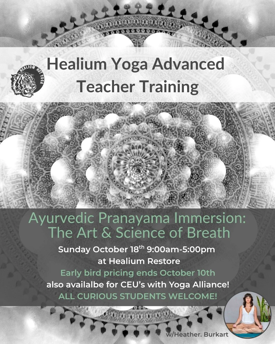 Ayurvedic Pranayama Immersion: The Art &amp; Science of Breath
Early bird pricing ends October 10th!

Join Heather Burkart, eRYT 500, on Sunday October 18th from 9:00am-5:00pm at Healium Restore for a full-day exploration of traditional pranayama tec