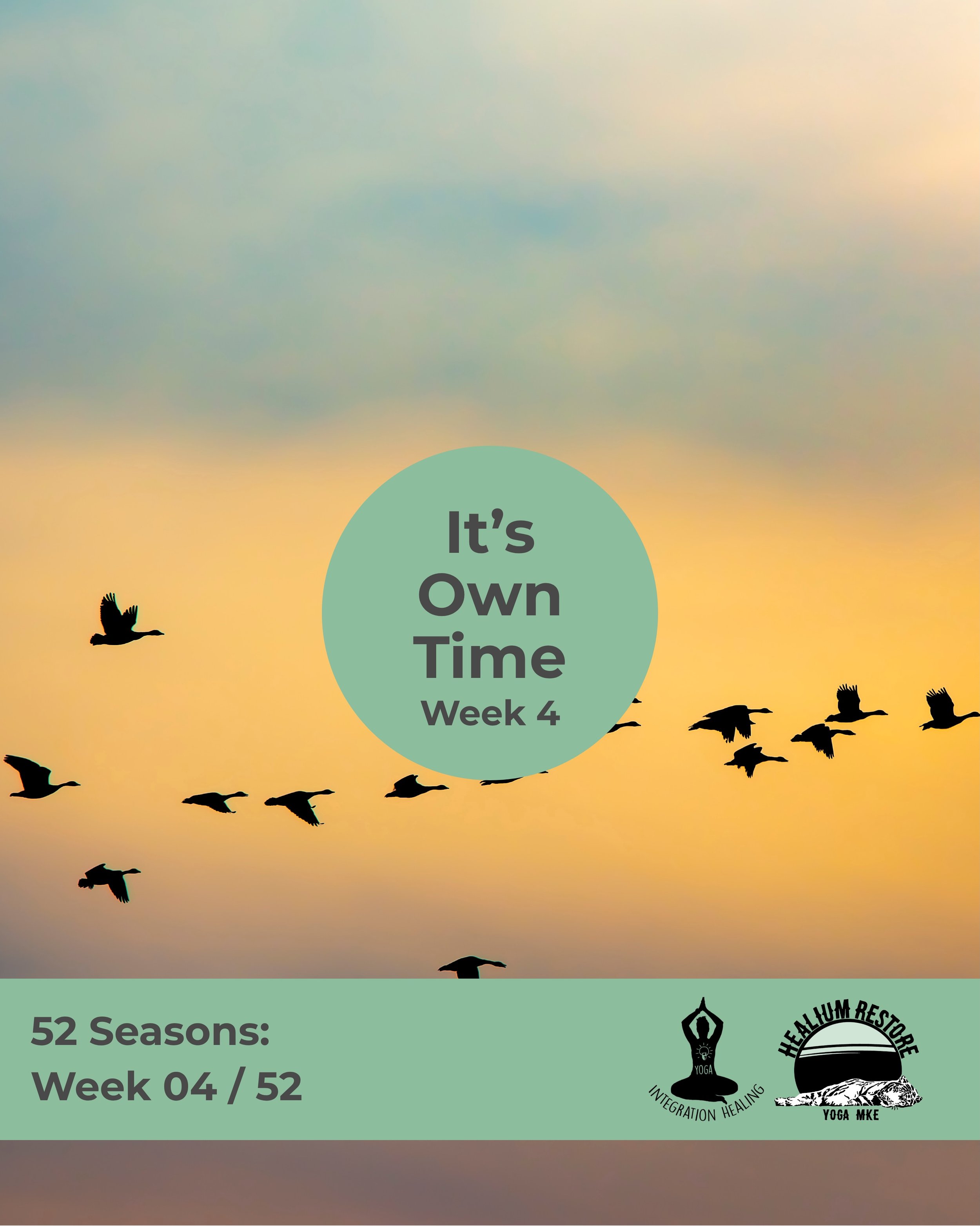 Week four: the in between moments are filled with richness 🪶☀️