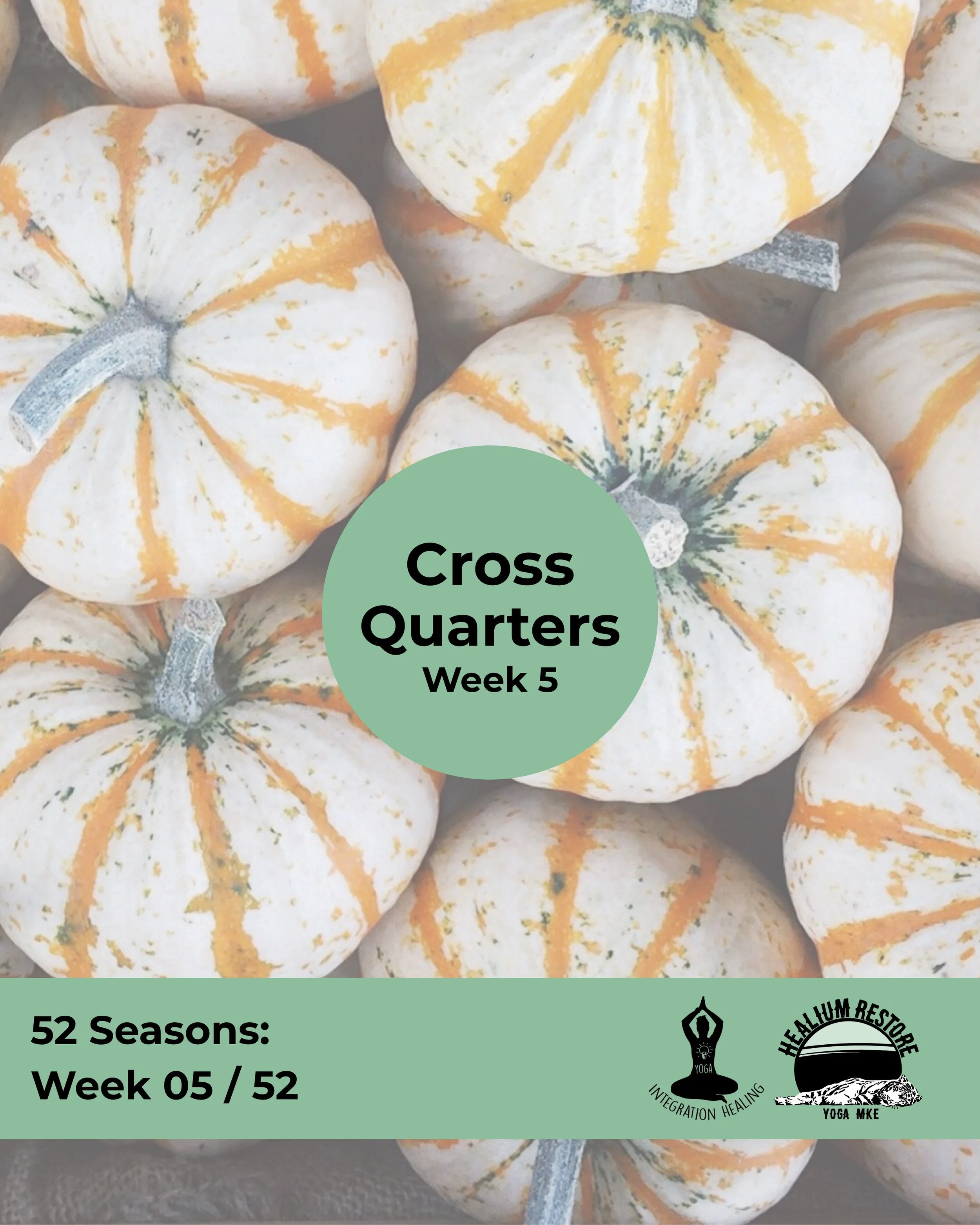 October 31 marks a cross-quarter point in the seasonal cycle, halfway between the autumn equinox and winter solstice.

Many Earth-based traditions understand time as a circle rather than a straight line, honoring the thresholds and transitions that s