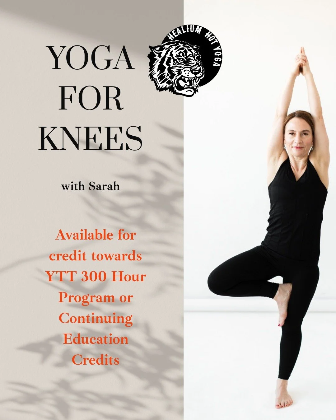 Join Sarah Filzen, eRYT 500, for an evening workshop exploring knee anatomy, stabilization, injury care, and smart yoga sequencing.

📍 Healium Hot Yoga &ndash; Bay View (Cozy Studio)
✨ $60 Early Bird &mdash; Register by November 11!
✨ $75 regular pr
