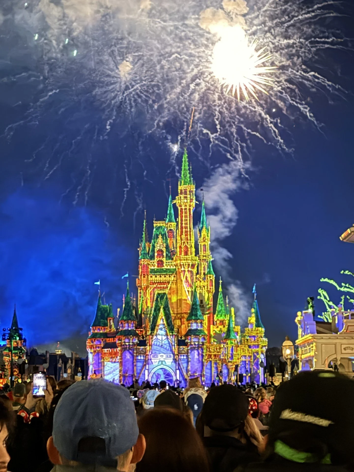 how to visit disney with points