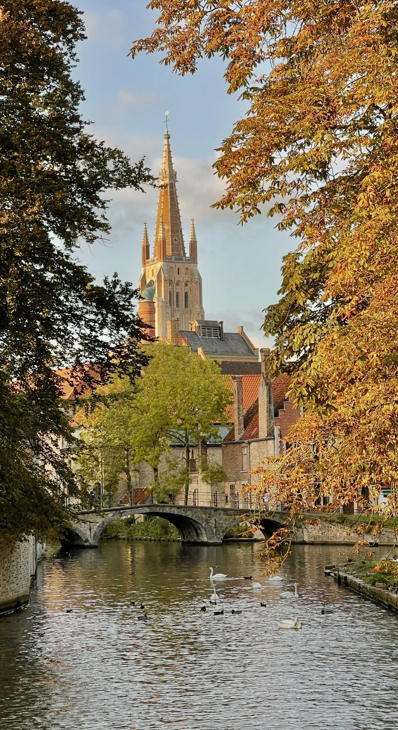 fallbruges.jpg