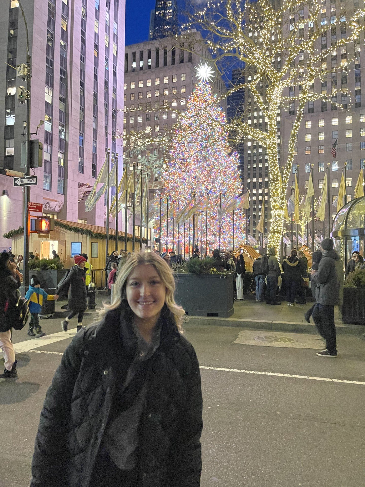 what date does the new york christmas tree go up in 2026