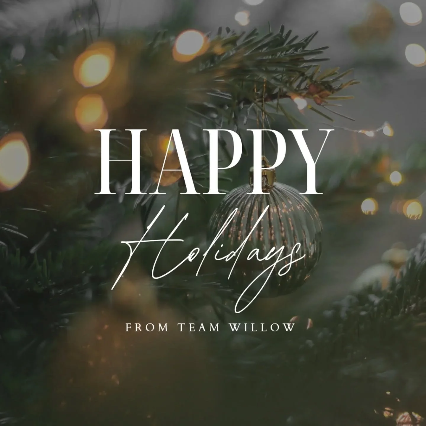 #HappyHolidays #MerryChristmas #HappyNewYear #WillowLovesYou