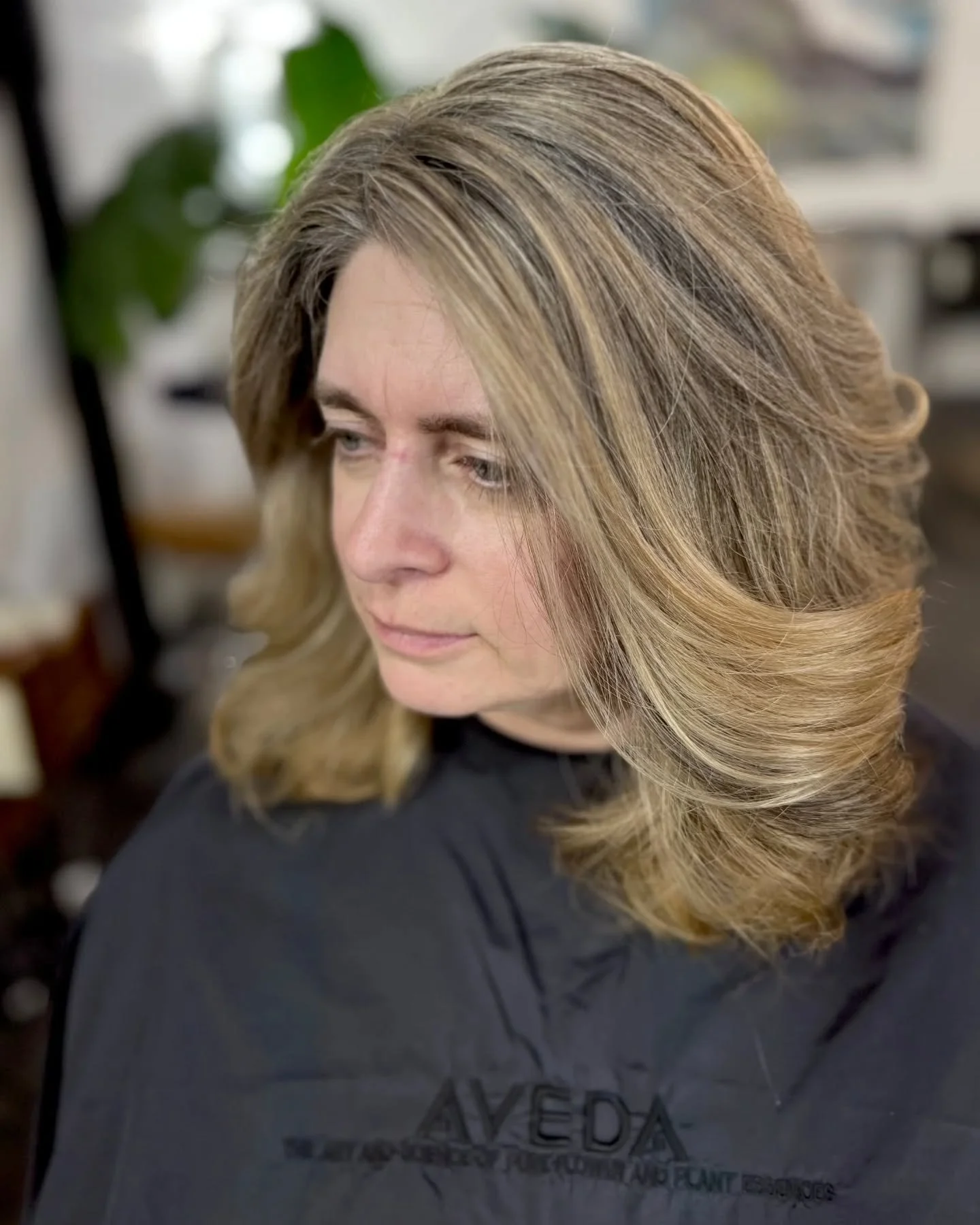 Grey blending 🌿
#WillowAshSalon #AvedaGreyBlending #OldTownSpring