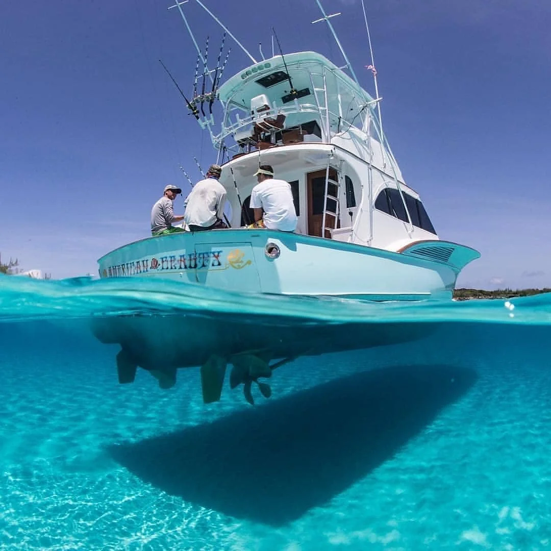 Our favorite kind of blues- Awesome shot of the @shearlineboatworks &ldquo;American Beauty&rdquo; sitting pretty!👌👌👌
📸@marcmontocchio 
.
FOLLOW @dailysportfish