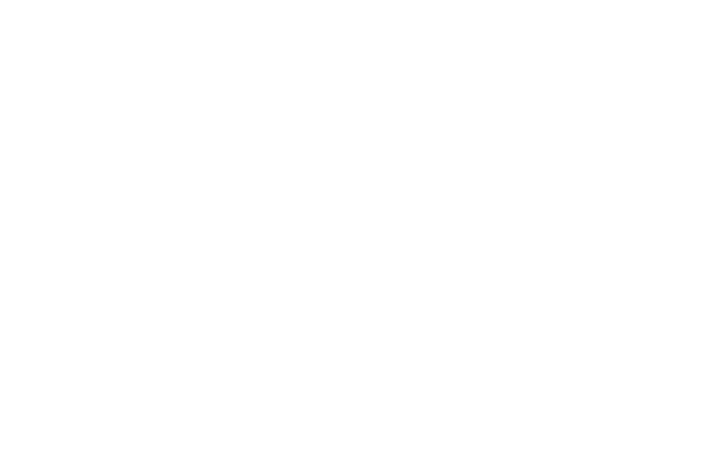 DVO.png