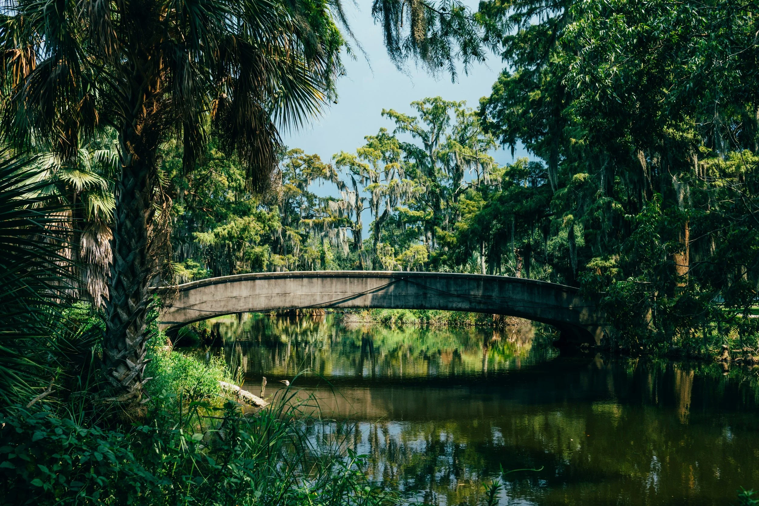 A bridge crosses a river in City Park. It's surrounded by tropical plants and trees. Drives & Detours New Orleans walking tour