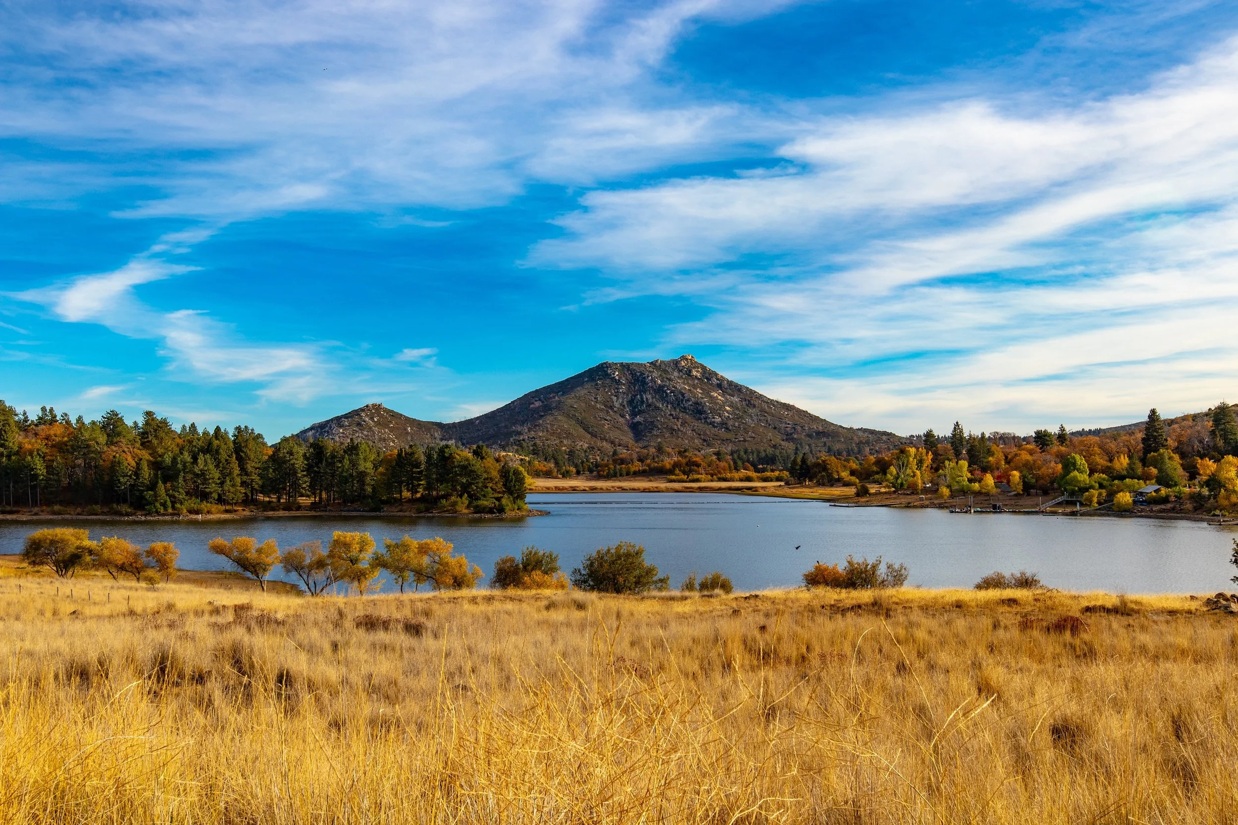 Lake Cuyamaca near San Diego can be seen behind some yellow brush. Trees suround the edges of the blue lake and a mountain rises in the distance under a blue sky