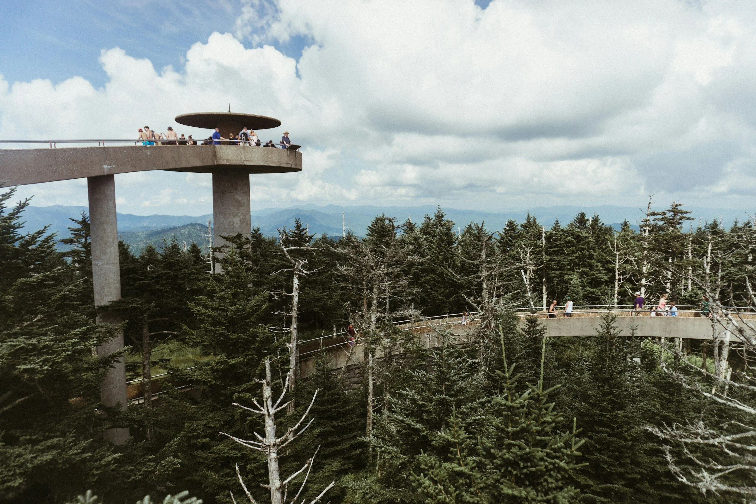 Where to Eat in the Smoky Mountains: A Guide to Authentic Local Dining