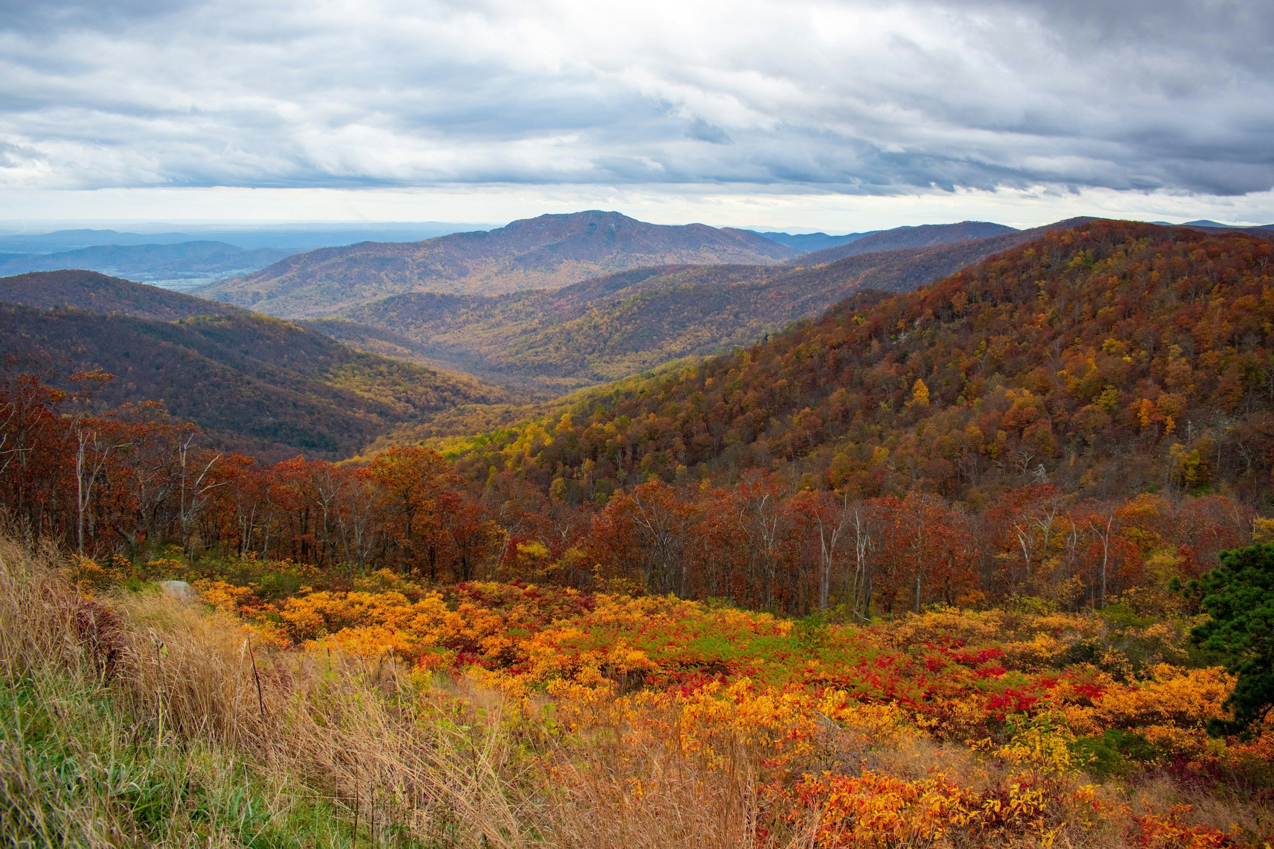 Trees covered in fall foliage stretch out across ridges of hills. Drives & Detours best restaurants near Shenandoah National Park
