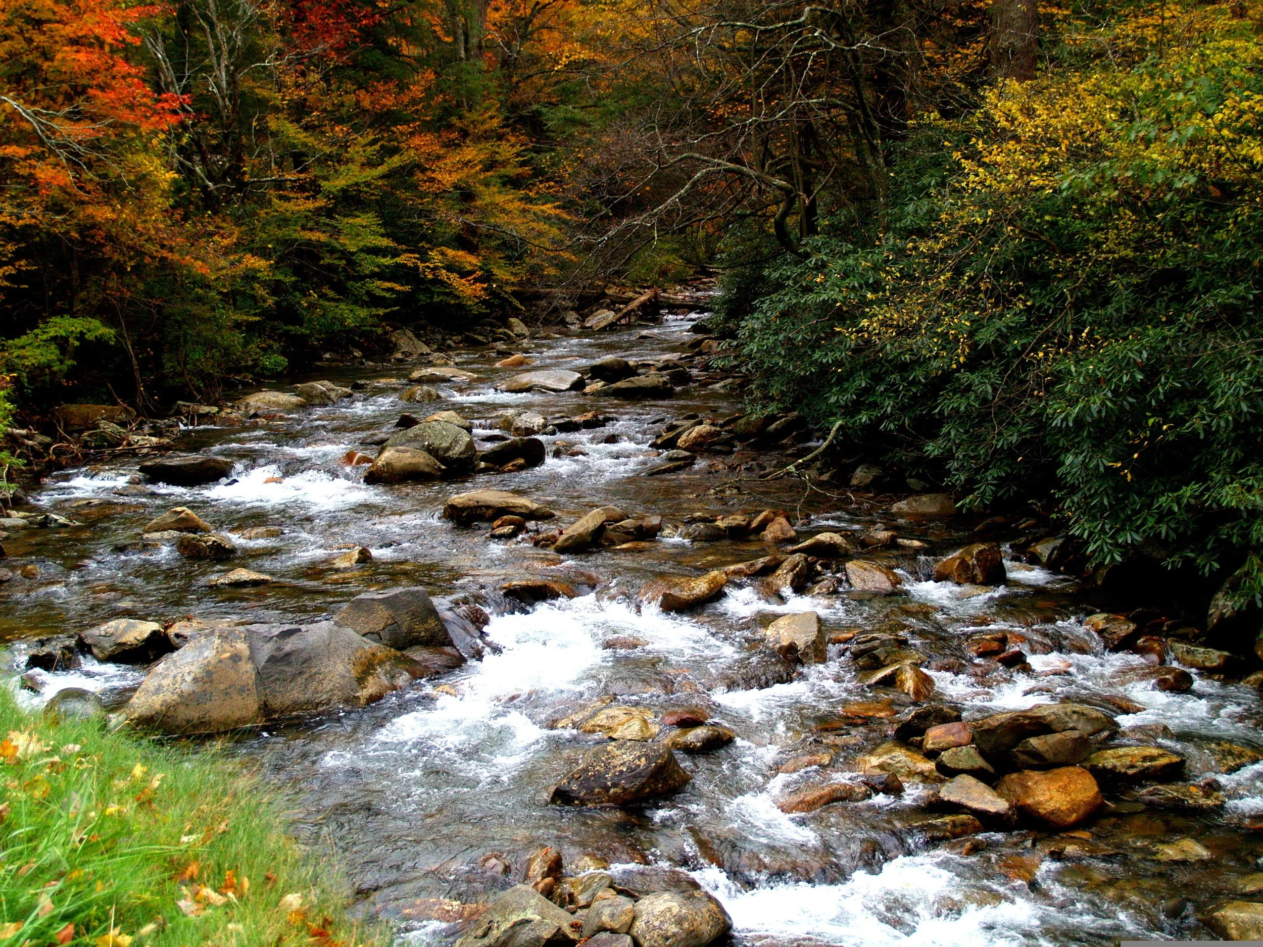A stream tumbles over rocks at the Roaring Fork Motor Nature Trail. Drives & Detours top things to do in the Smoky Mountains