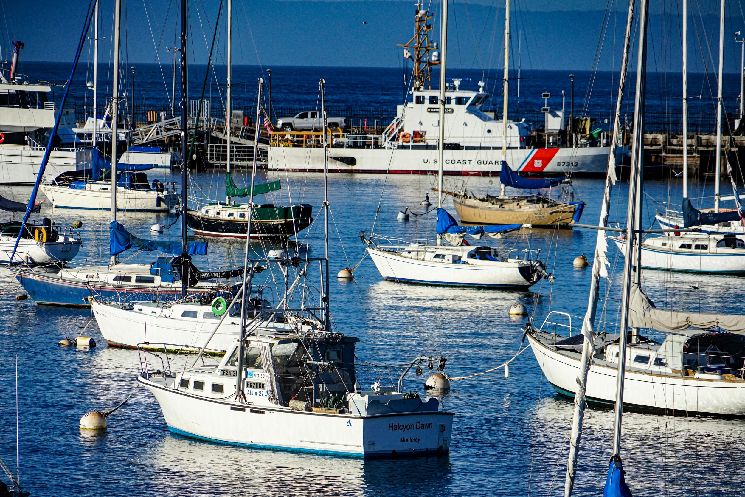 Small white yachts and a larger boat from the U.S. Coast Guard float in Monterey Bay.
