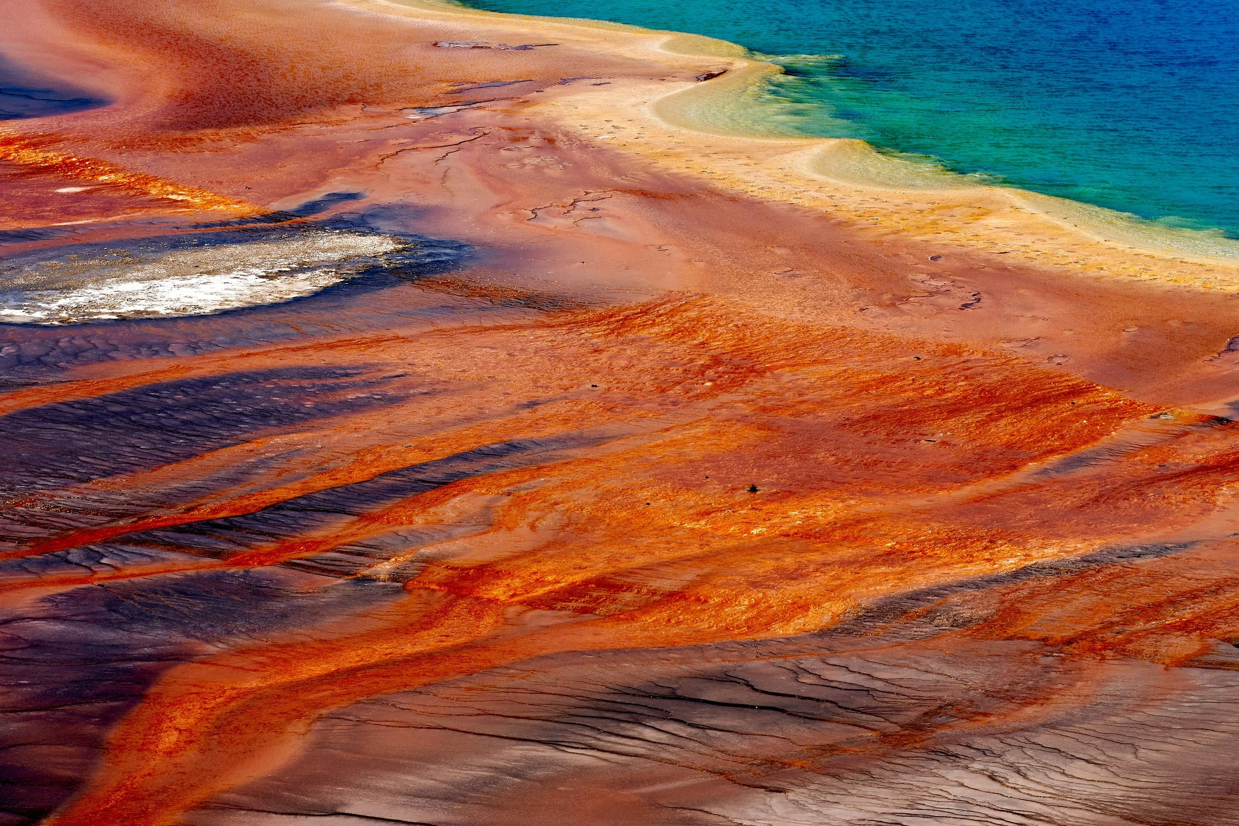 A detail of the Grand Prismatic Spring showing the range of rainbow colors. Drives & Detours Yellowstone driving tour