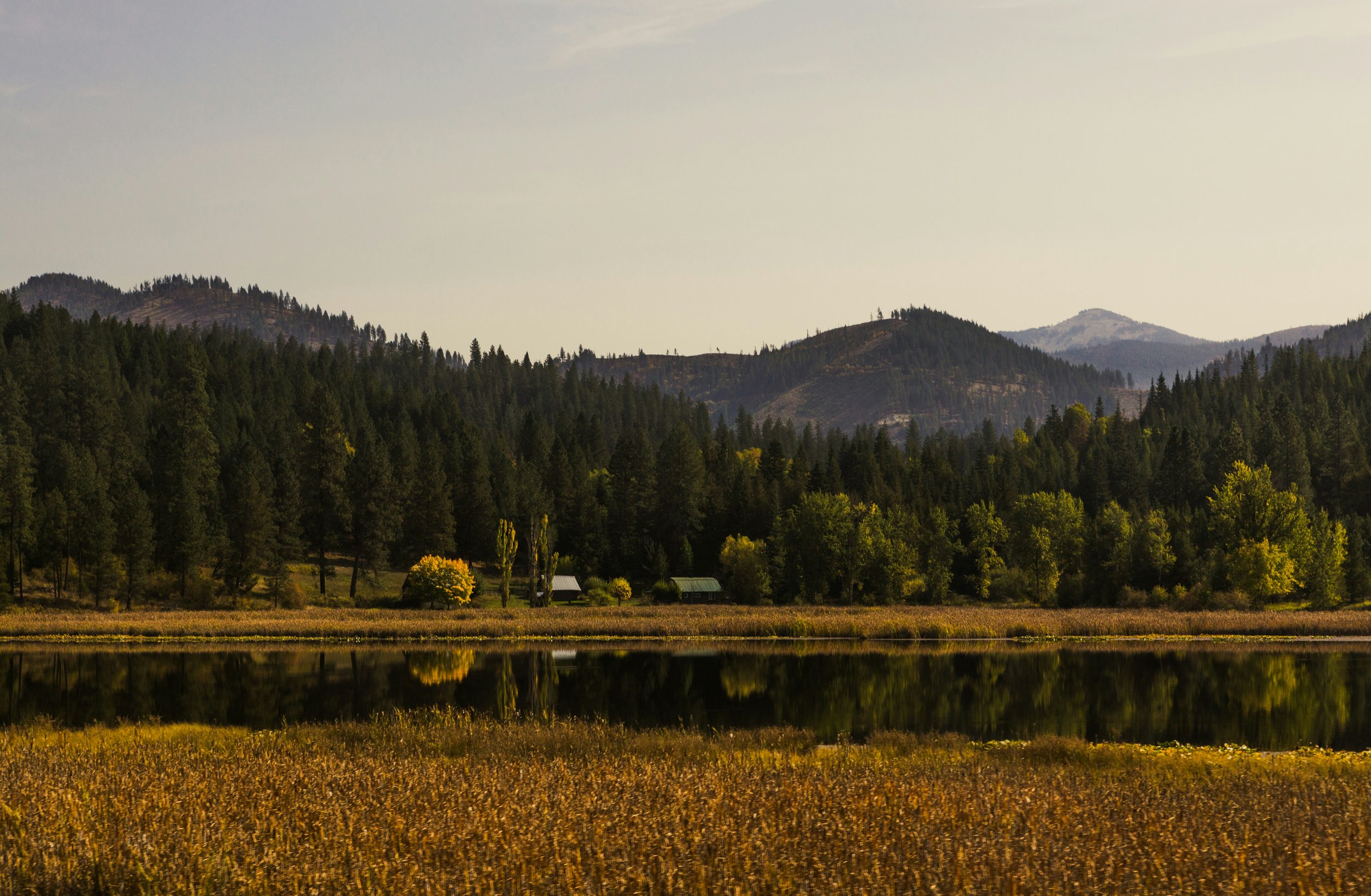A lake and fir trees near Wallce, ID