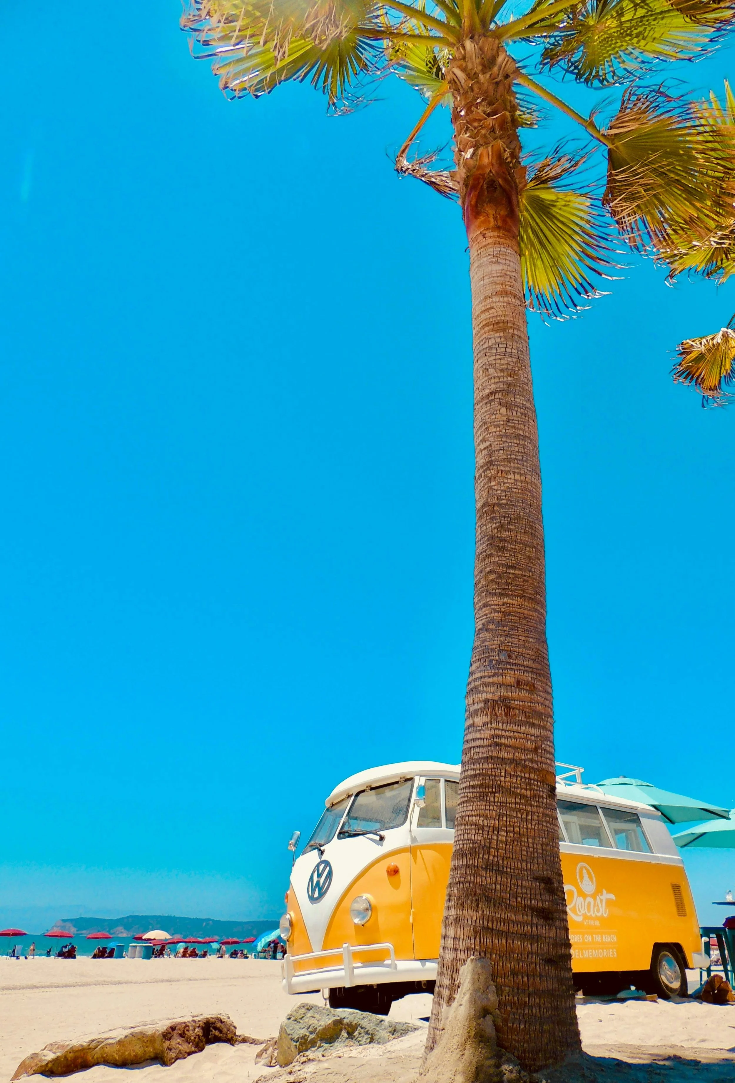 A yellow VW Campervan is parked under a palm tree on the beach on Coronado Island. The sky is bright blue, with not a cloud to be seen