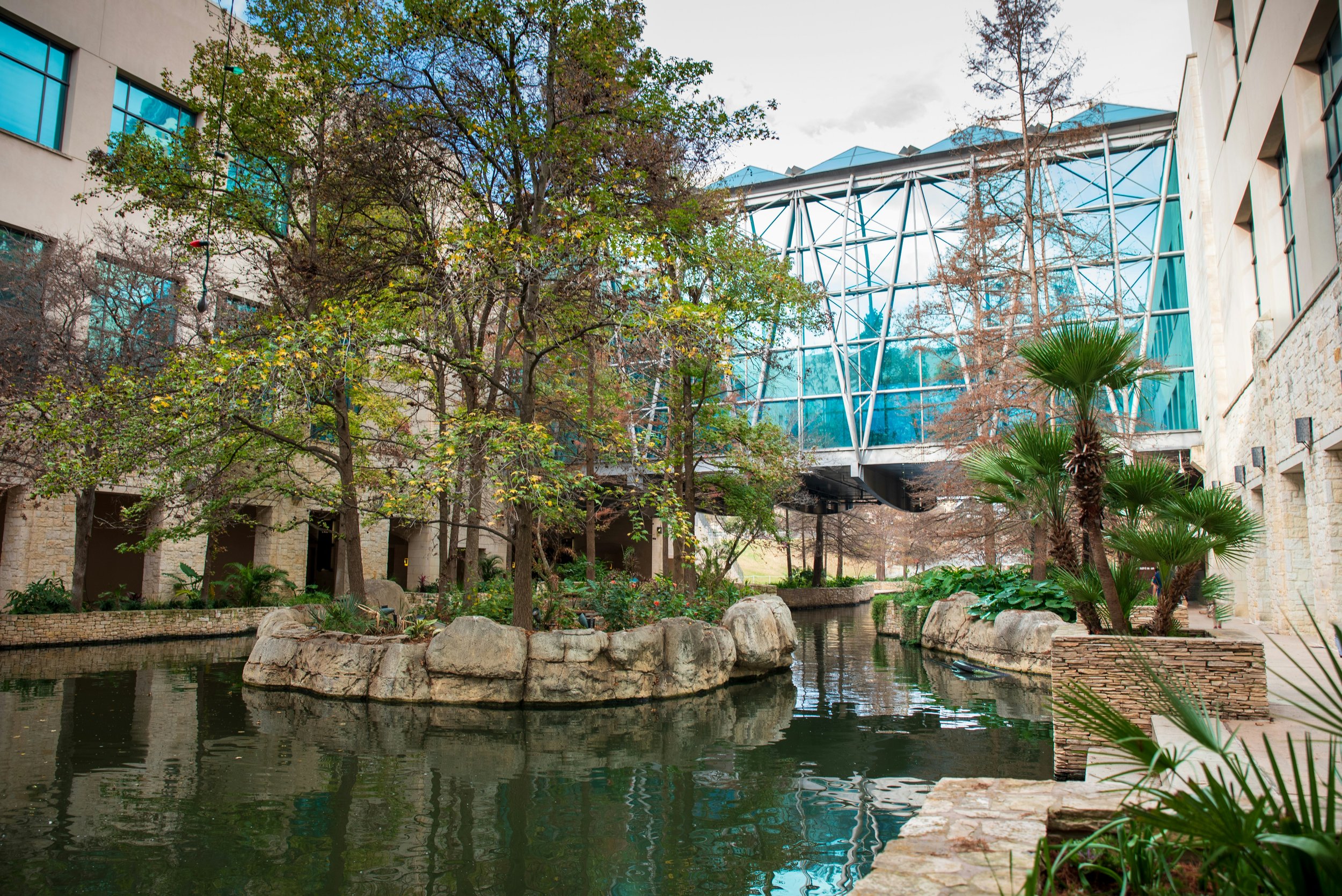 Trees grow on a small island in a river. A large covered walkway joins two buildings behind it. Drives & Detours San Antonio River Walk tips