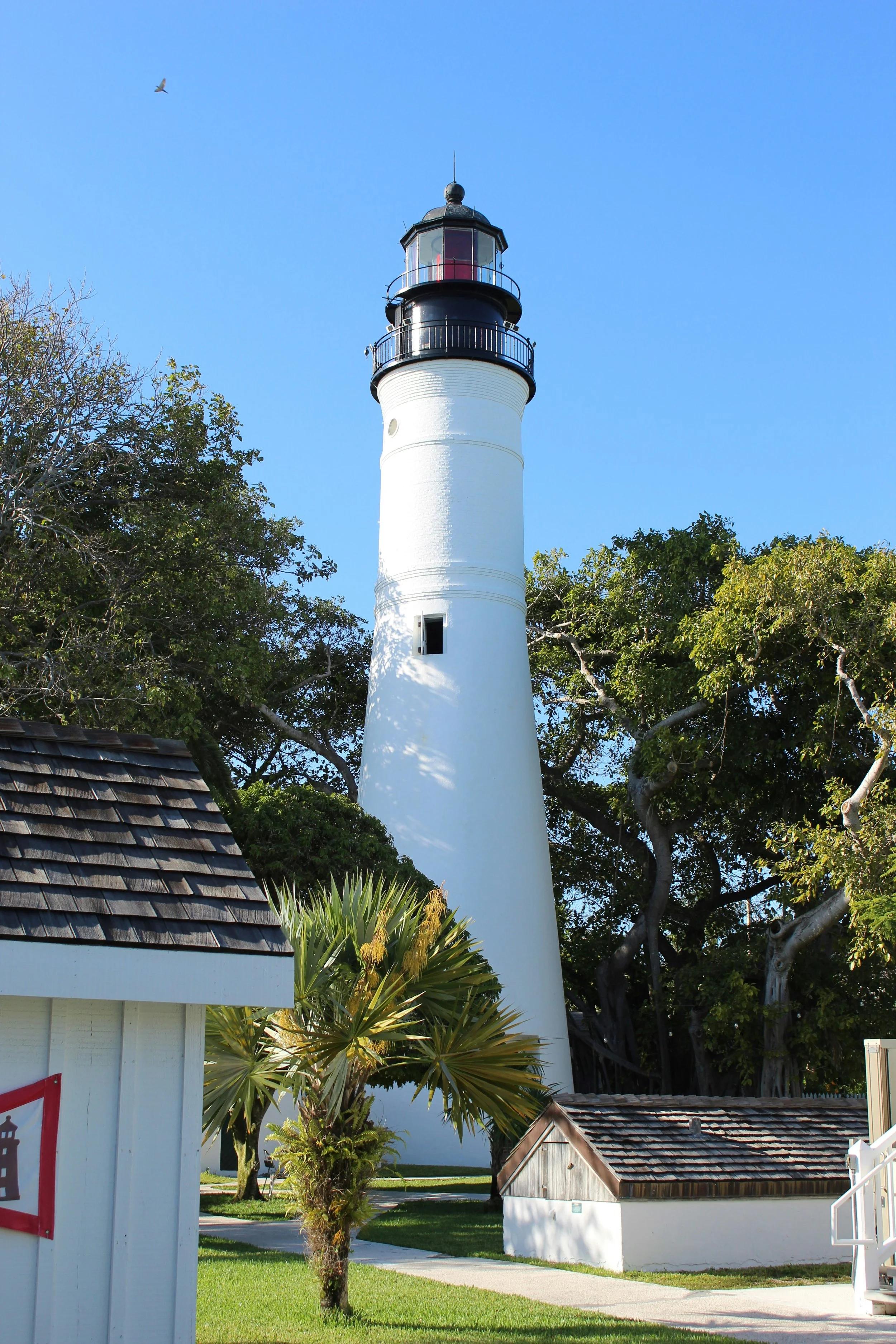 the Key West Lighthouse and Keeper’s Quarters Museum is a small white tower, with a black top where the light is kept. It's surrounded by trees and tropical foliage